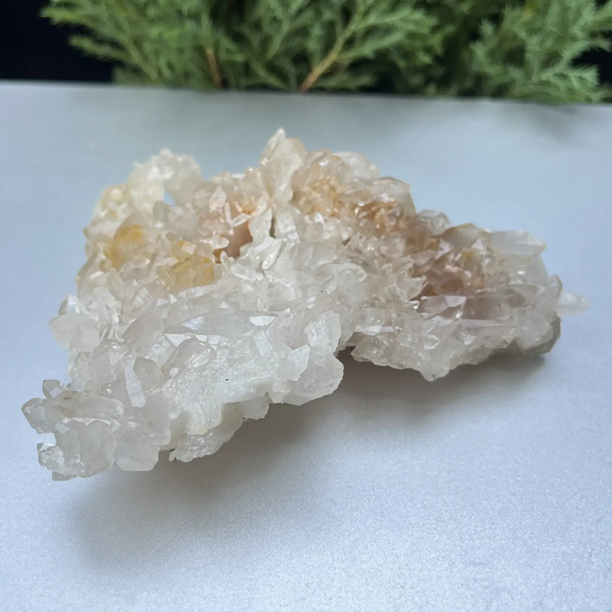 Natural Himalayan White & Yellow Quartz Cluster 255g – Healing Crystal Himalayan Quartz