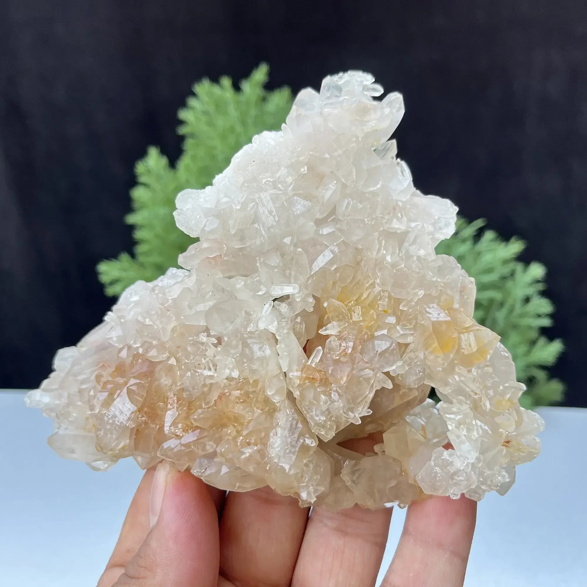 Natural Himalayan White & Yellow Quartz Cluster 255g – Healing Crystal Himalayan Quartz