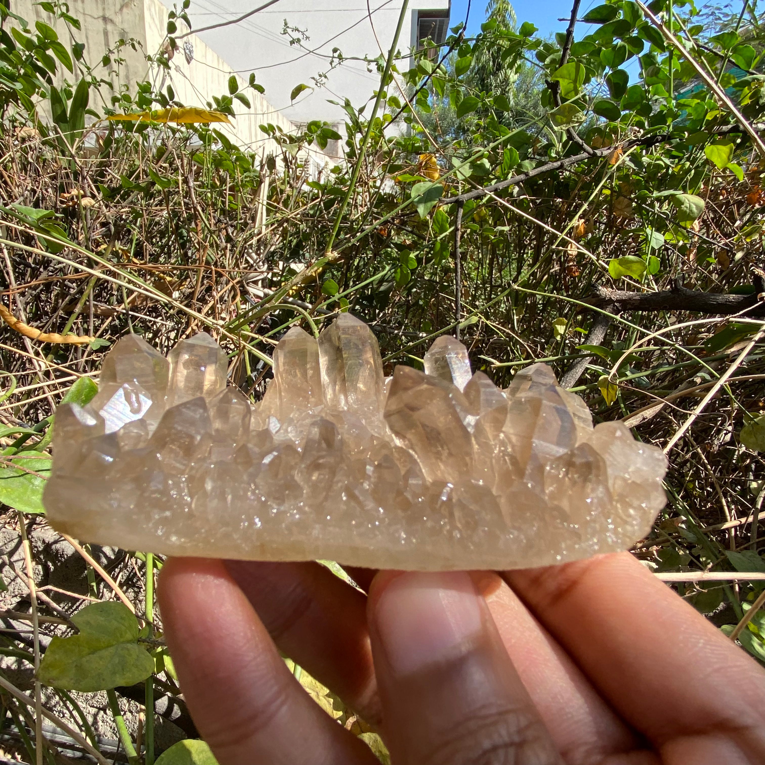 Himalayan Smoky Quartz Cluster 150g