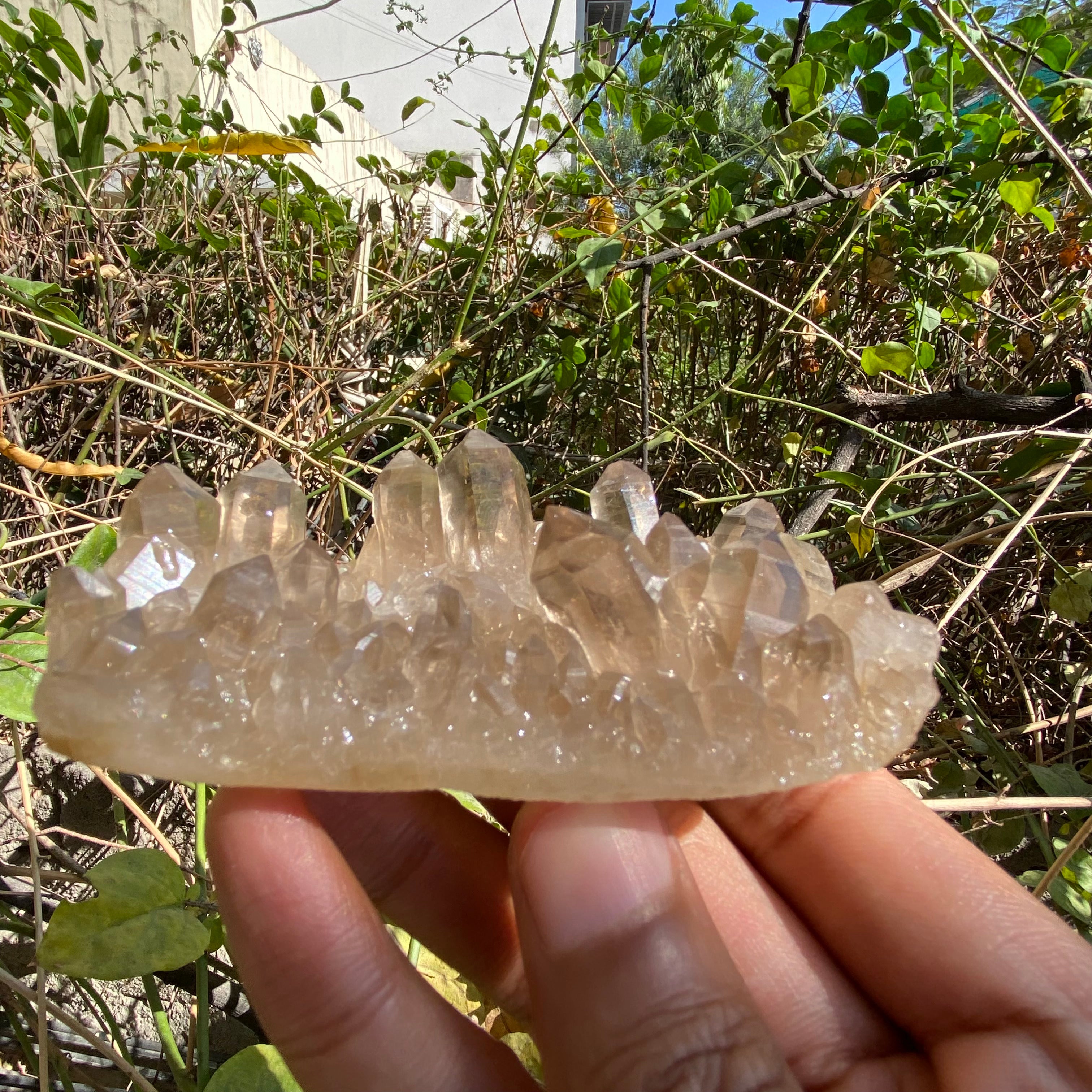 Himalayan Smoky Quartz Cluster 150g
