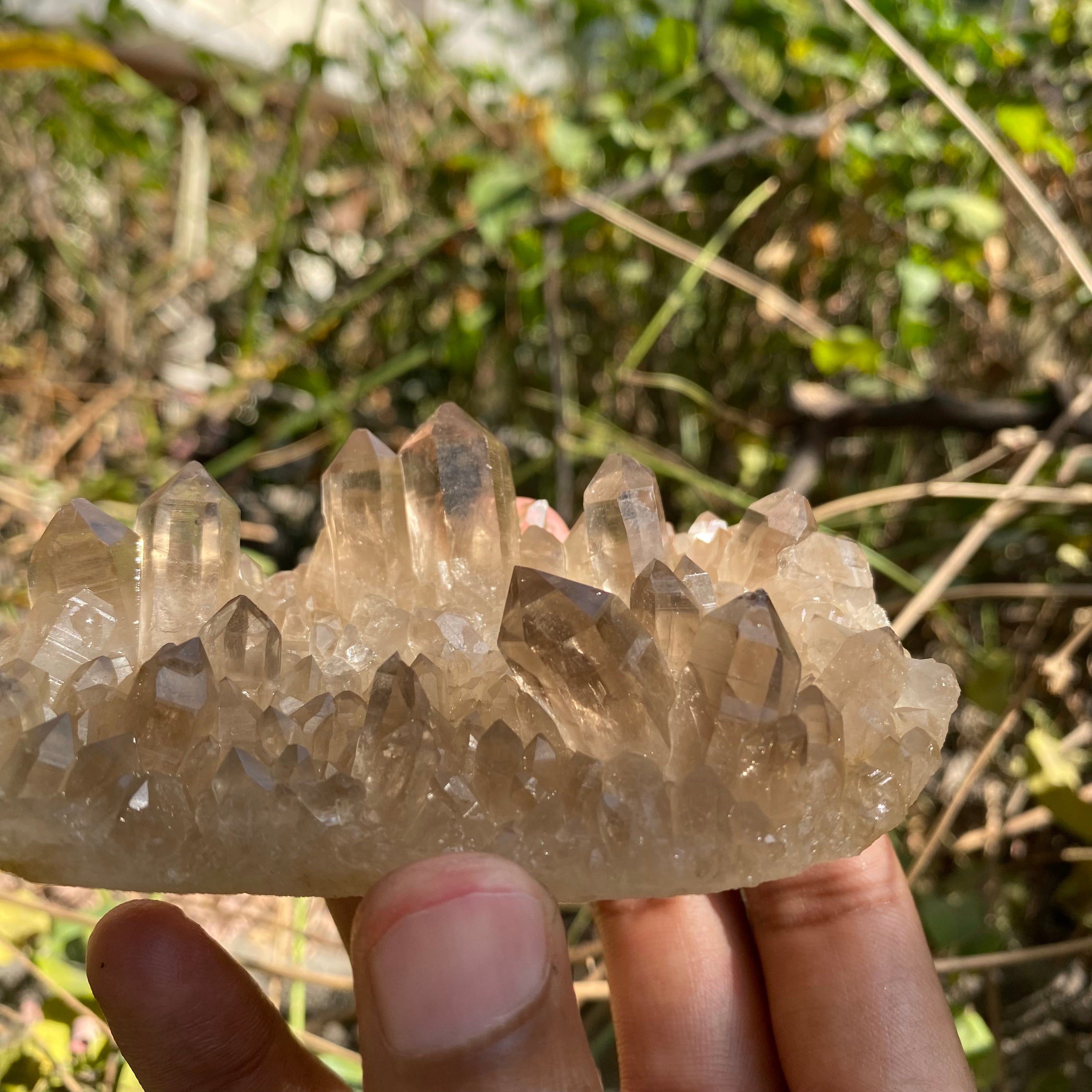 Himalayan Smoky Quartz Cluster 150g
