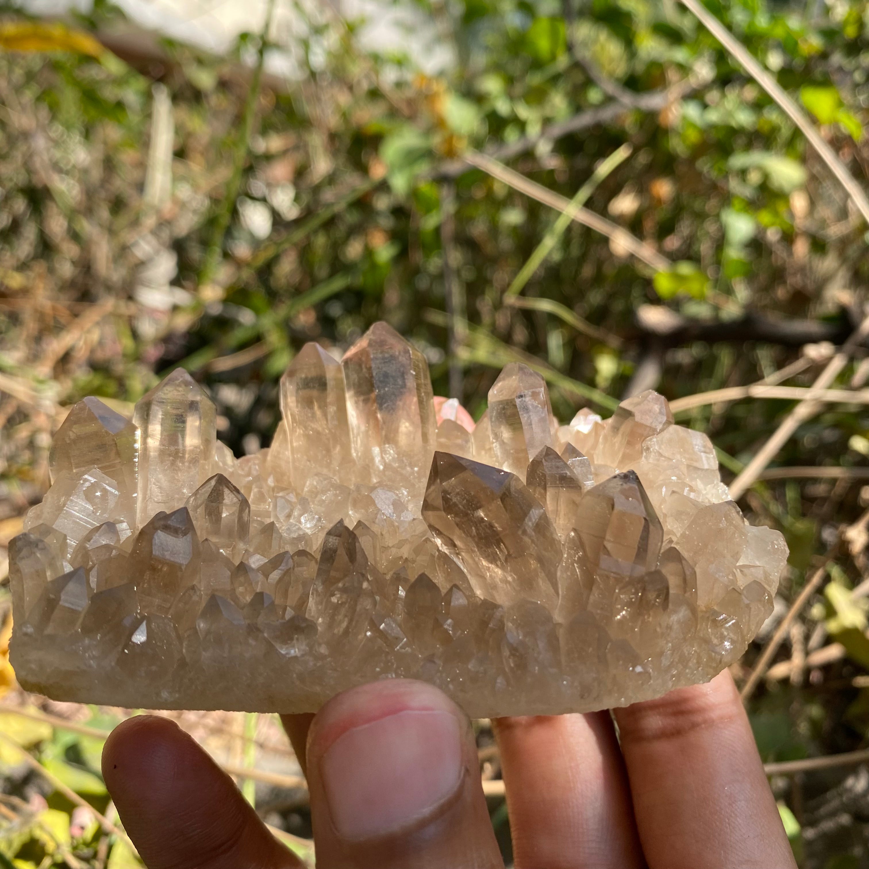 Himalayan Smoky Quartz Cluster 150g