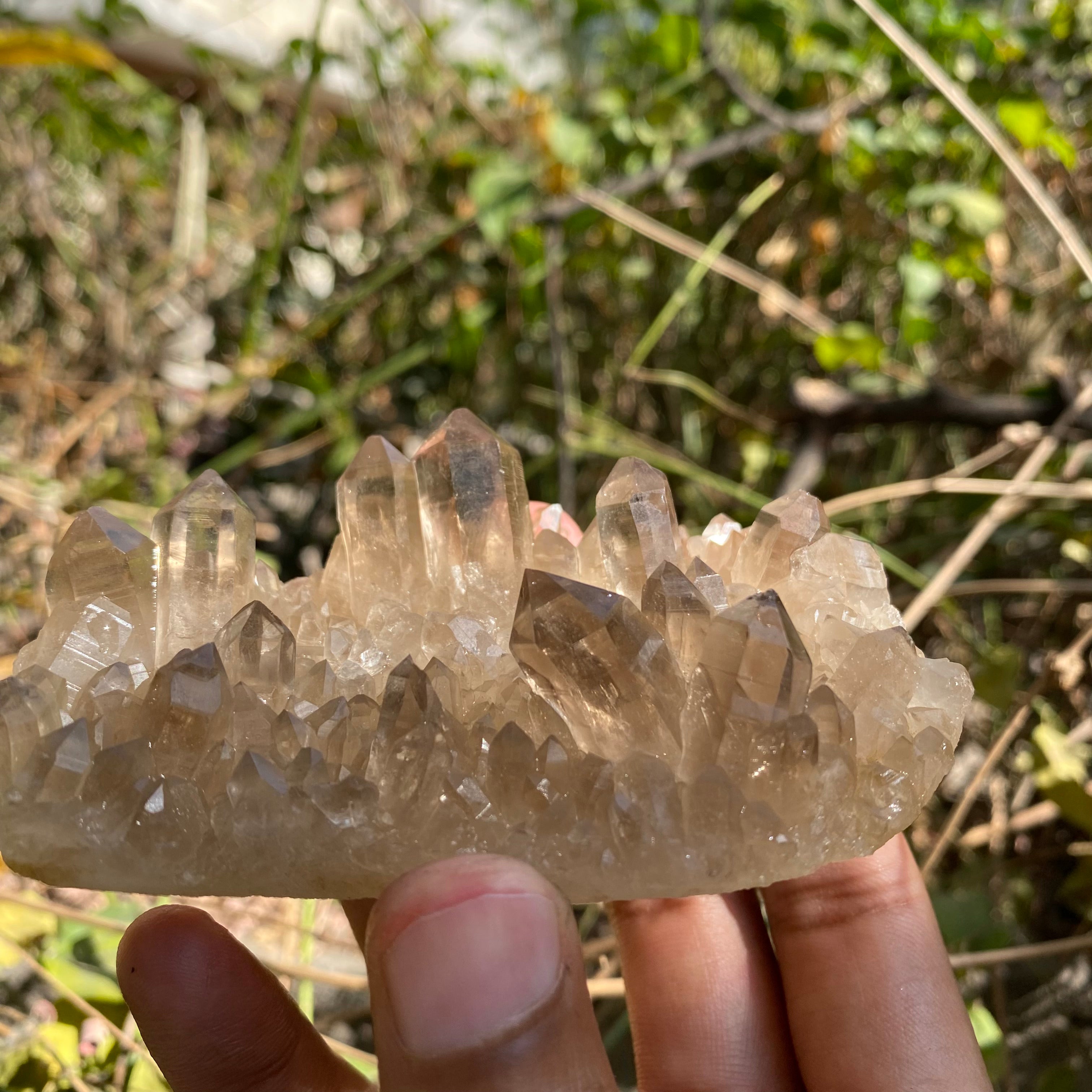 Himalayan Smoky Quartz Cluster 150g