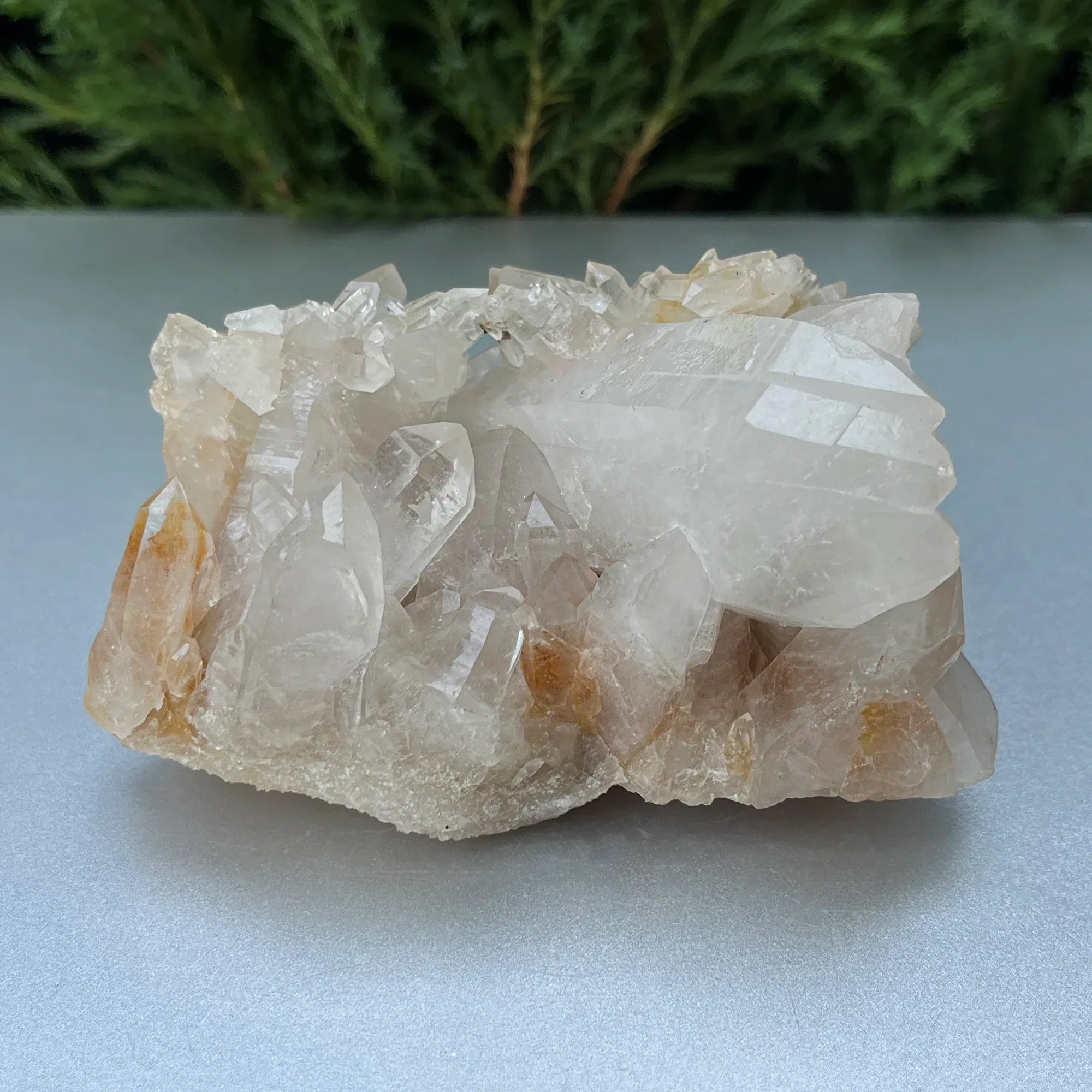 Natural Himalayan White + Yellow Quartz Cluster 320g – Healing Crystal Himalayan Quartz