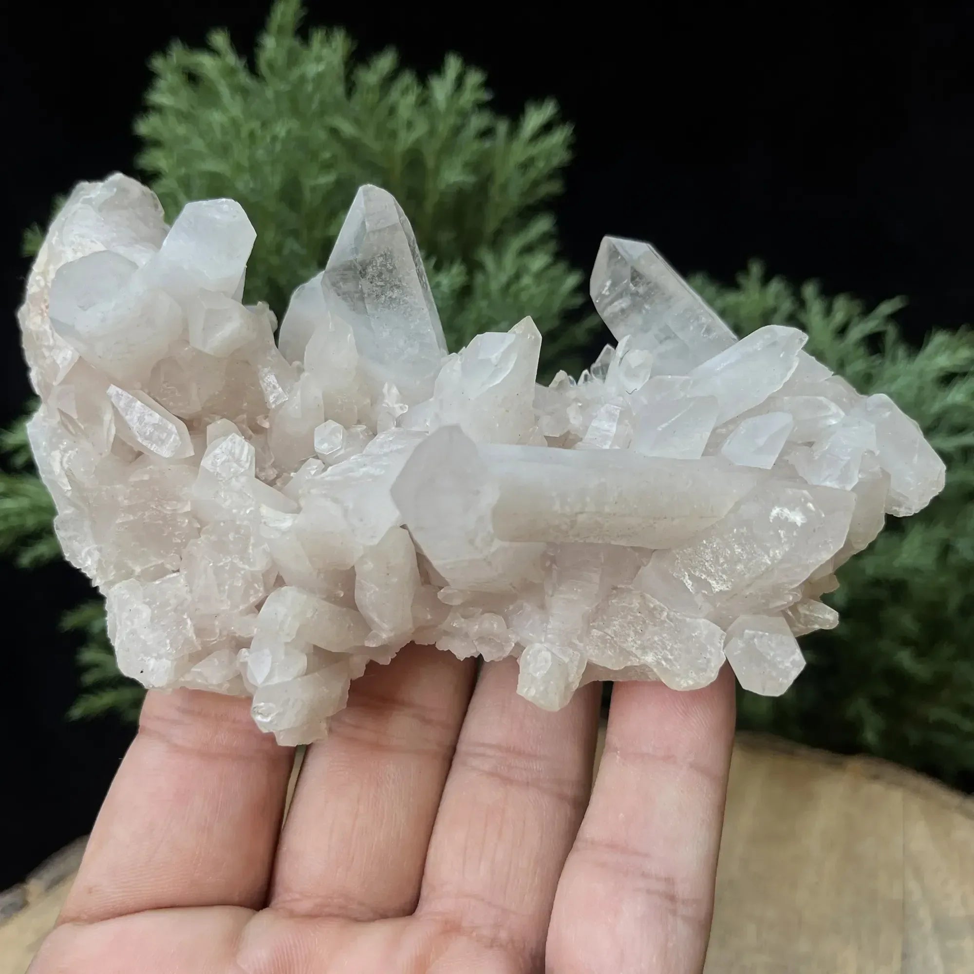 Natural Himalayan White Quartz Cluster 210g Himalayan Quartz