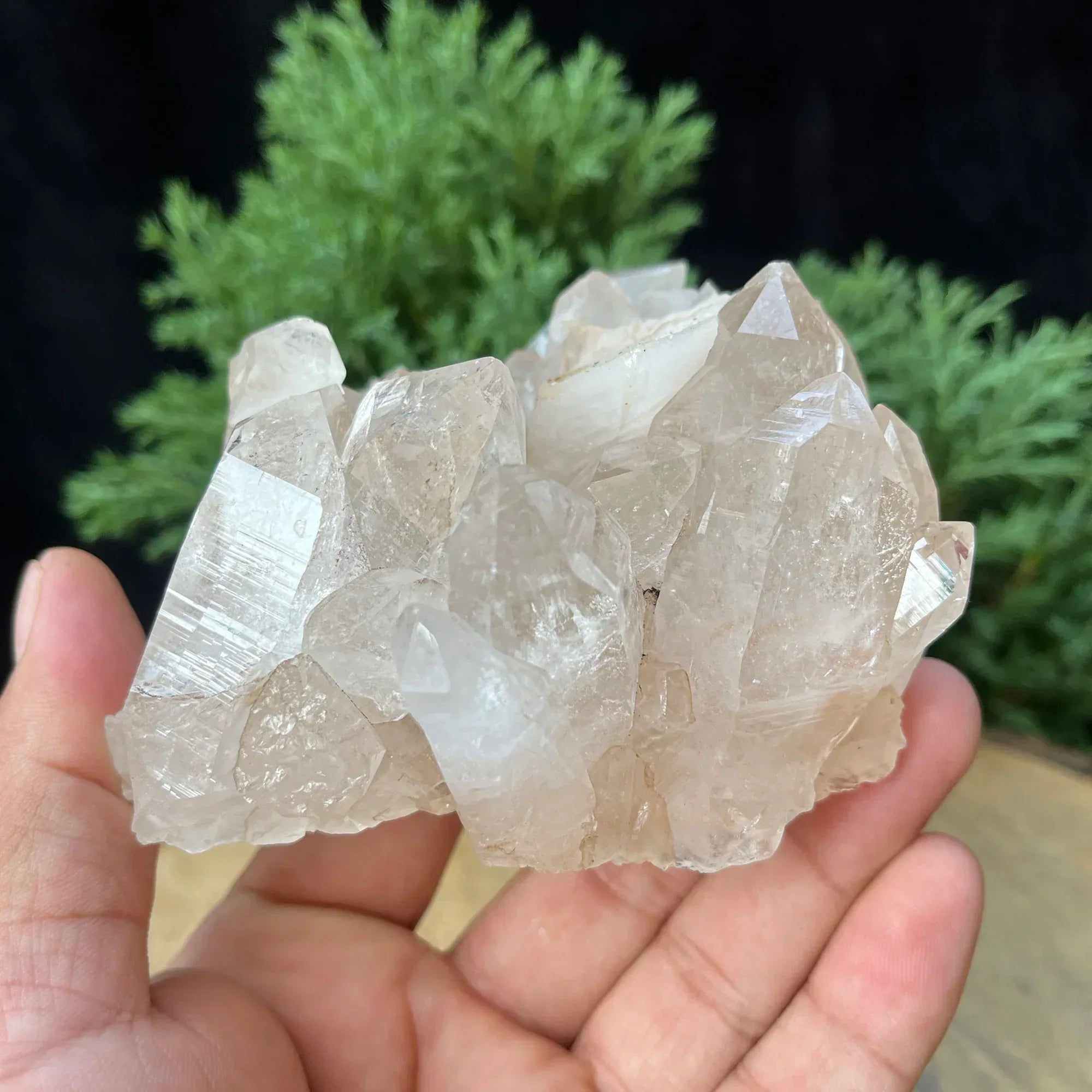 Natural Himalayan White Quartz Cluster 430g Himalayan Quartz
