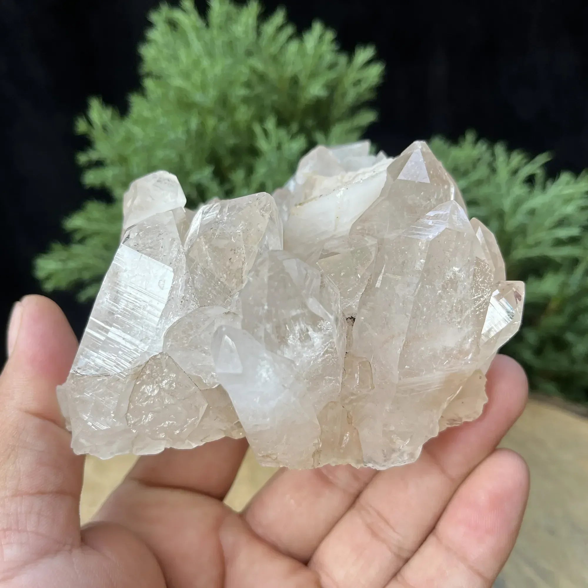 Natural Himalayan White Quartz Cluster 430g Himalayan Quartz
