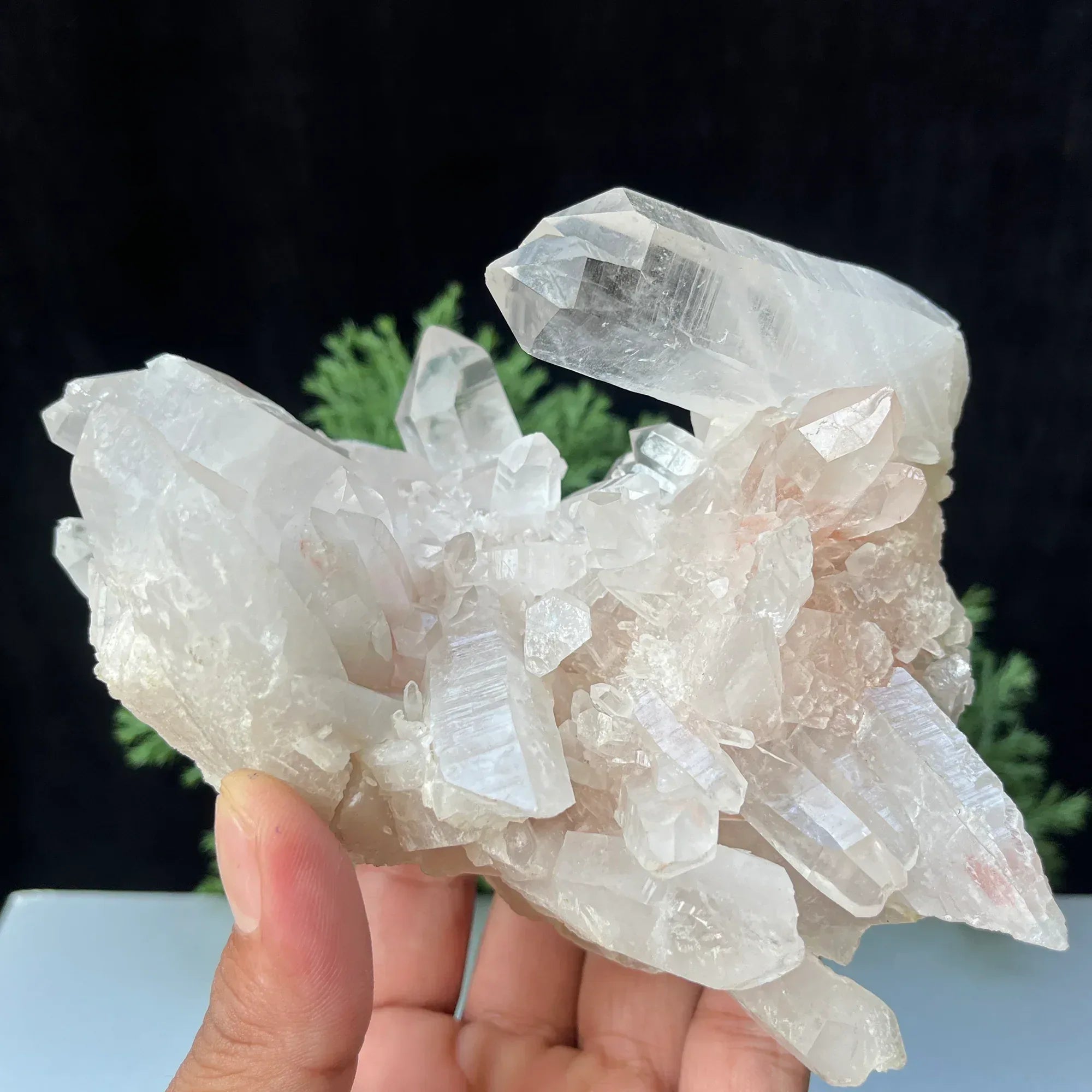 Natural Himalayan White + Pink Quartz Cluster 885g Himalayan Quartz