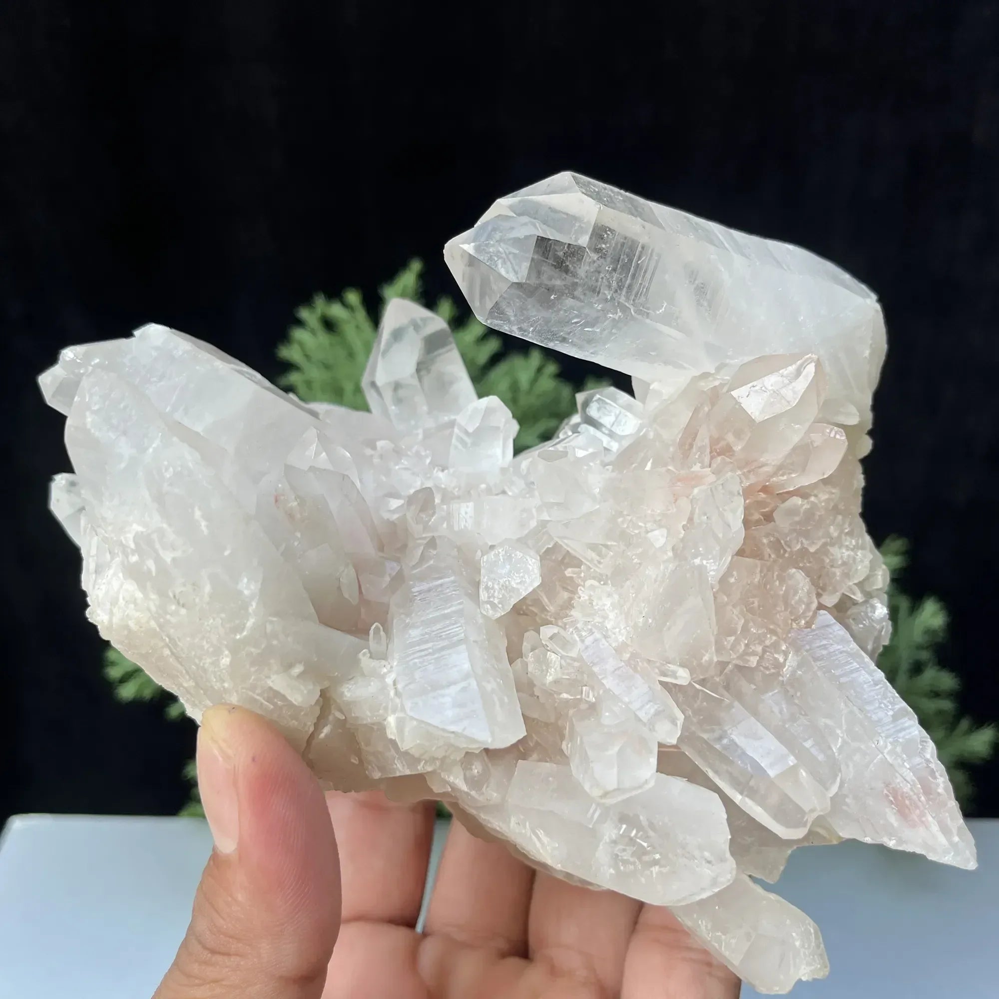 Natural Himalayan White + Pink Quartz Cluster 885g Himalayan Quartz