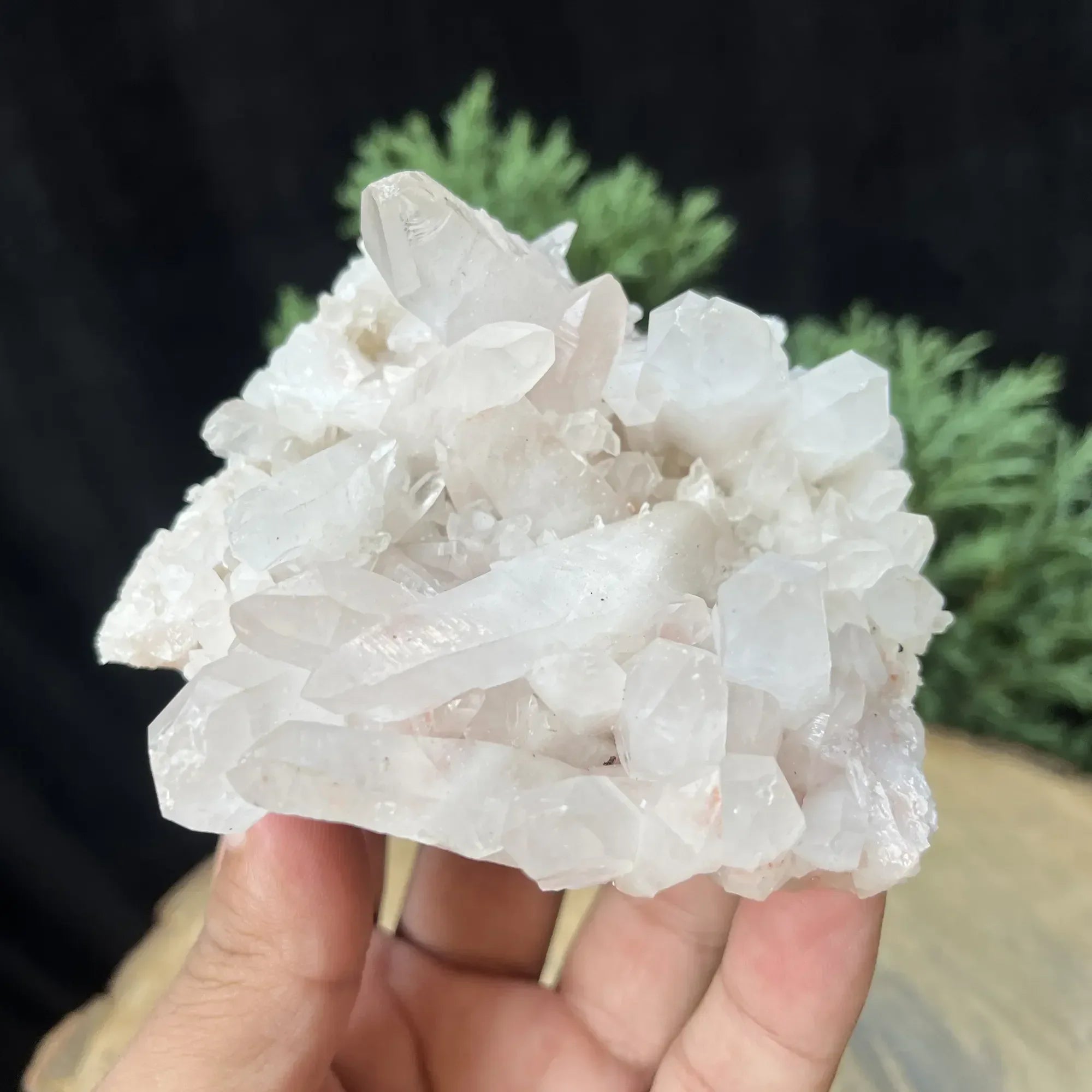 Natural Himalayan White Quartz Cluster 270g Himalayan Quartz