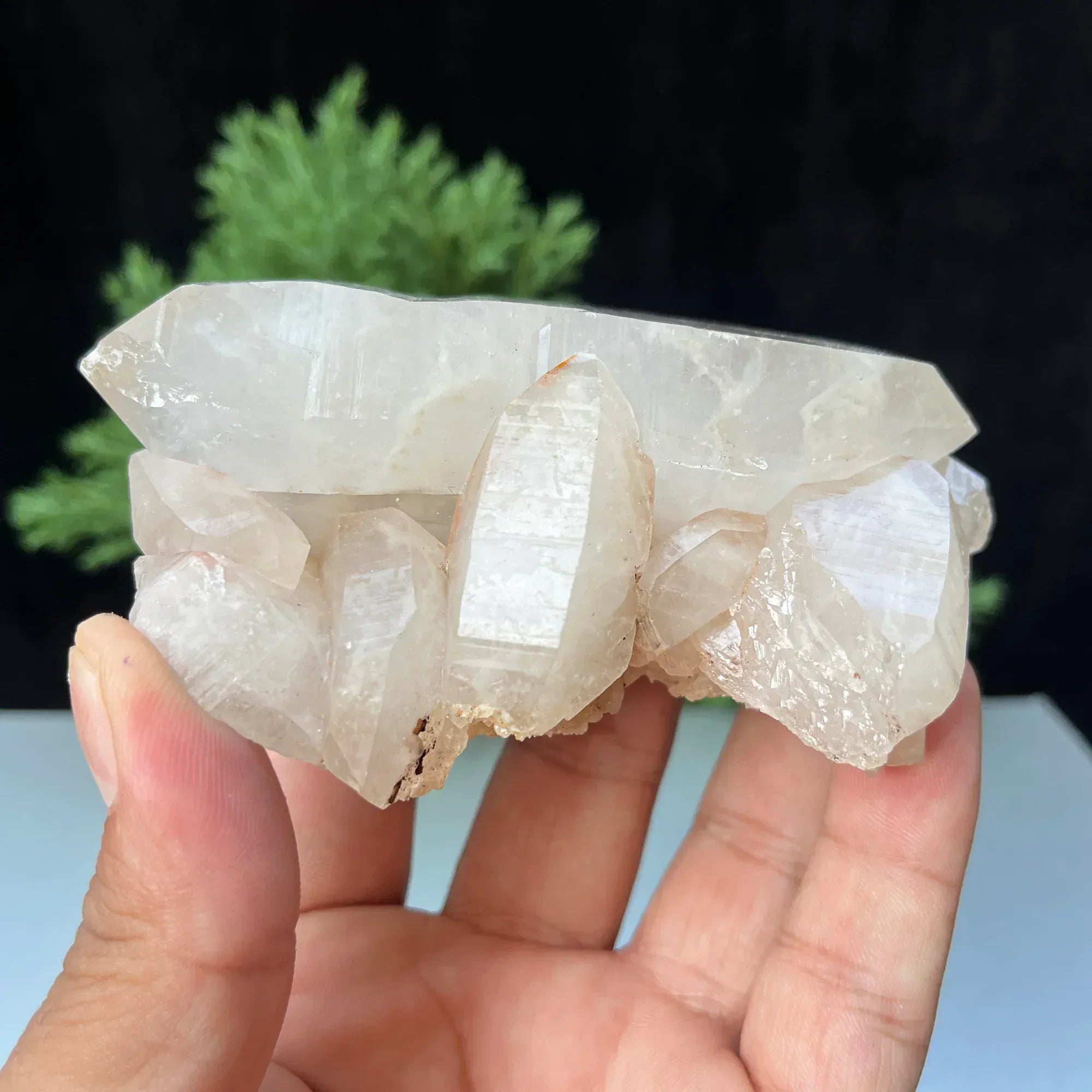 Natural Himalayan White Quartz Cluster 255g Himalayan Quartz