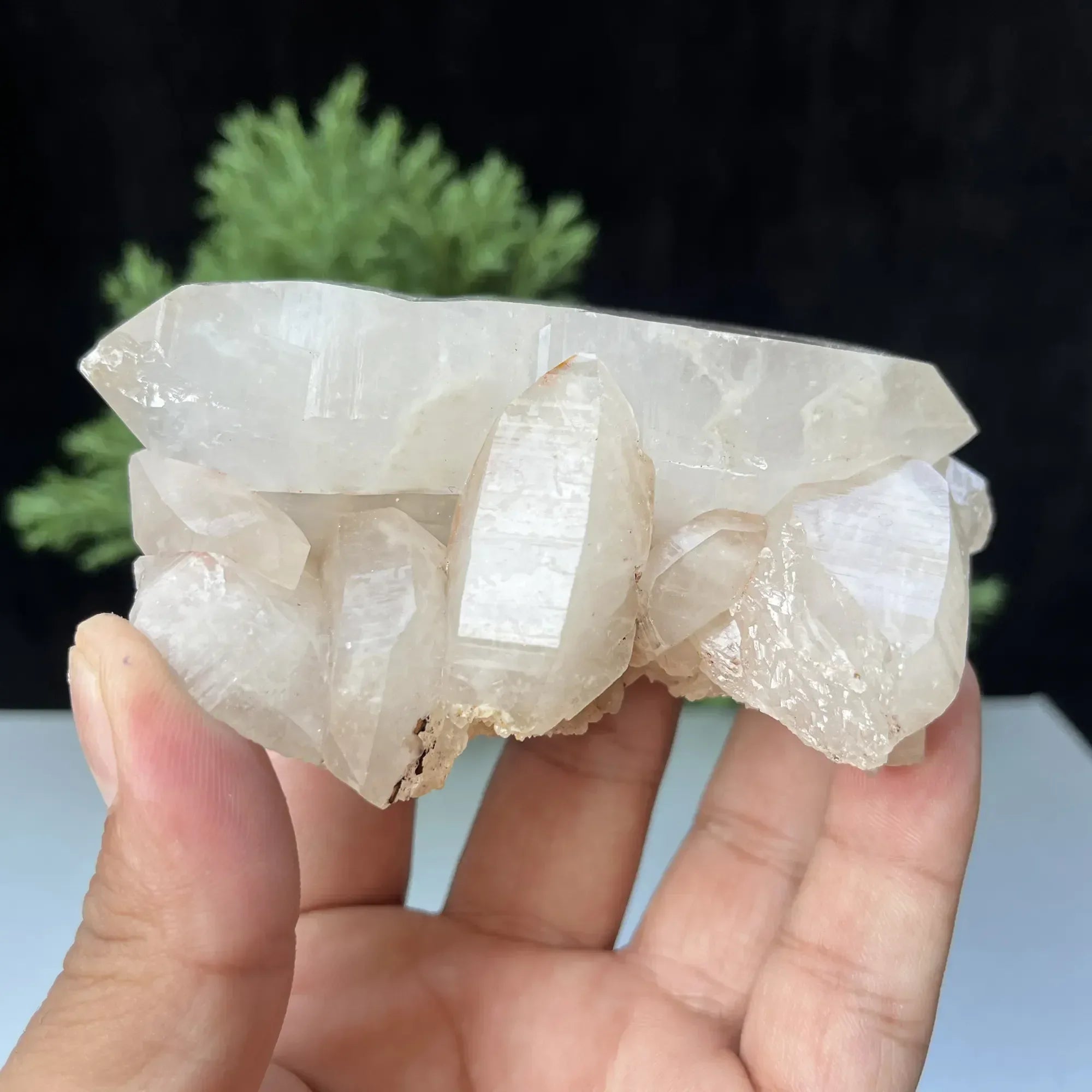 Natural Himalayan White Quartz Cluster 255g Himalayan Quartz