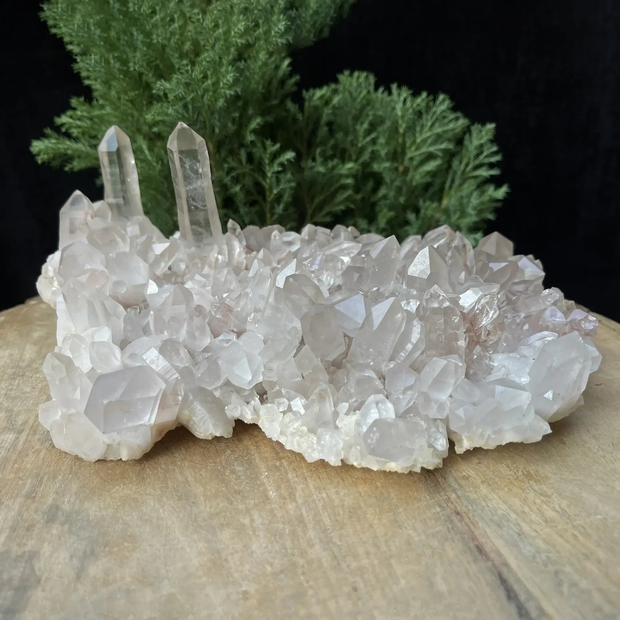 Natural Himalayan Pink Quartz Cluster 1575g Himalayan Quartz