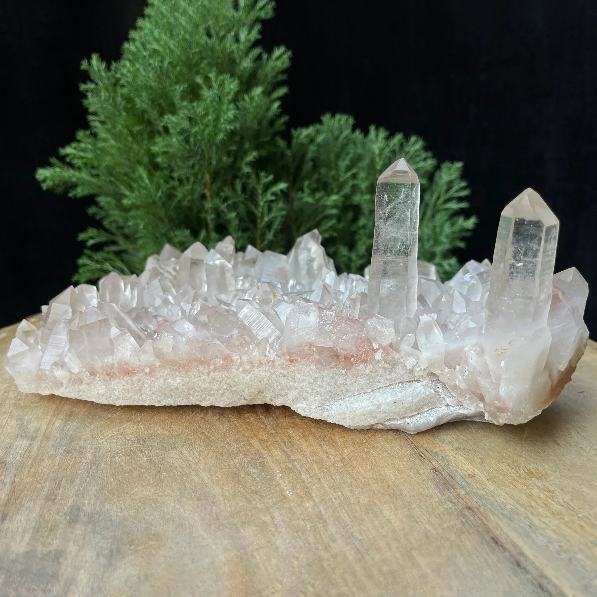 Natural Himalayan Pink Quartz Cluster 1575g Himalayan Quartz