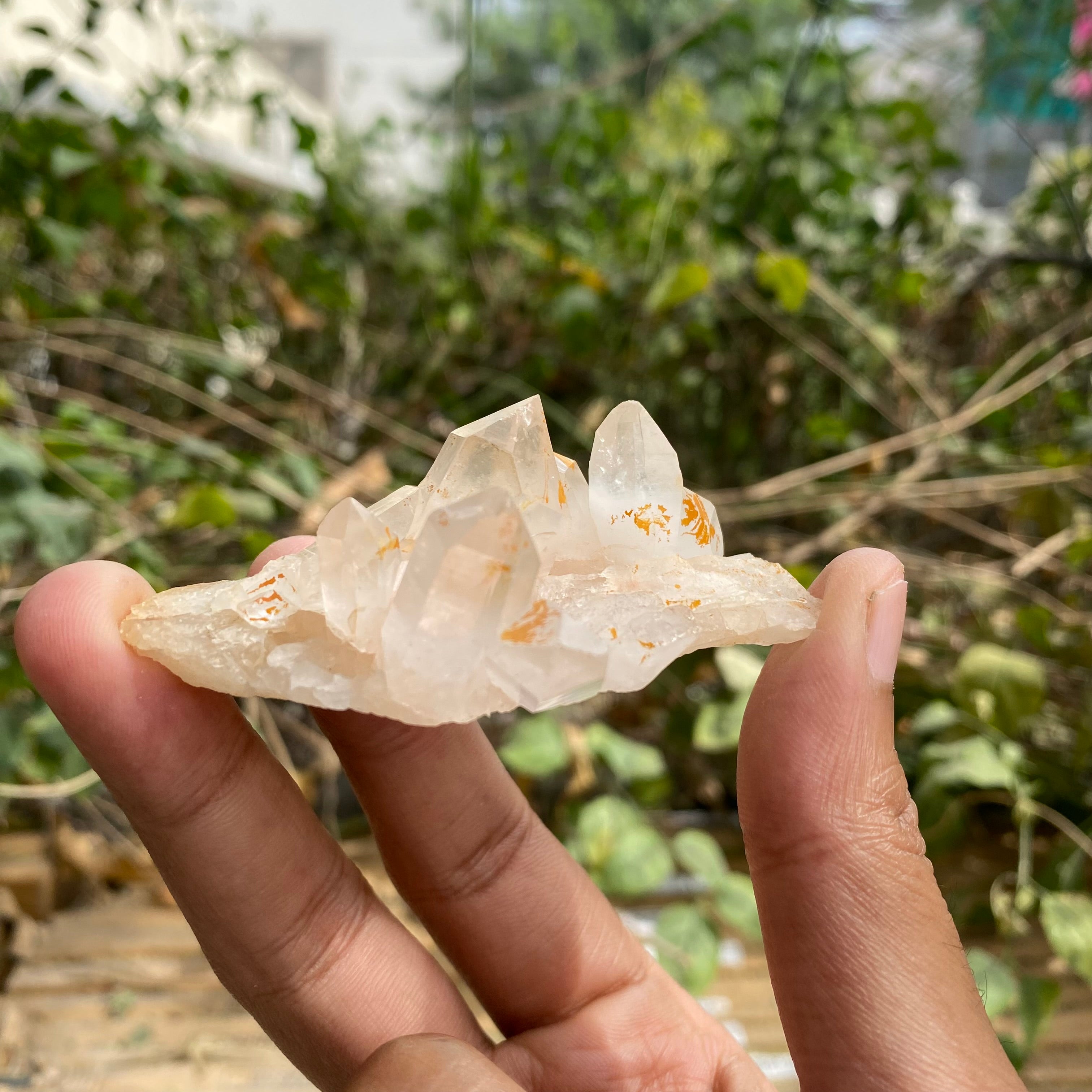 Pink Natural Himalayan Samadhi Quartz Cluster Raw Crystal Healing Energy Display
