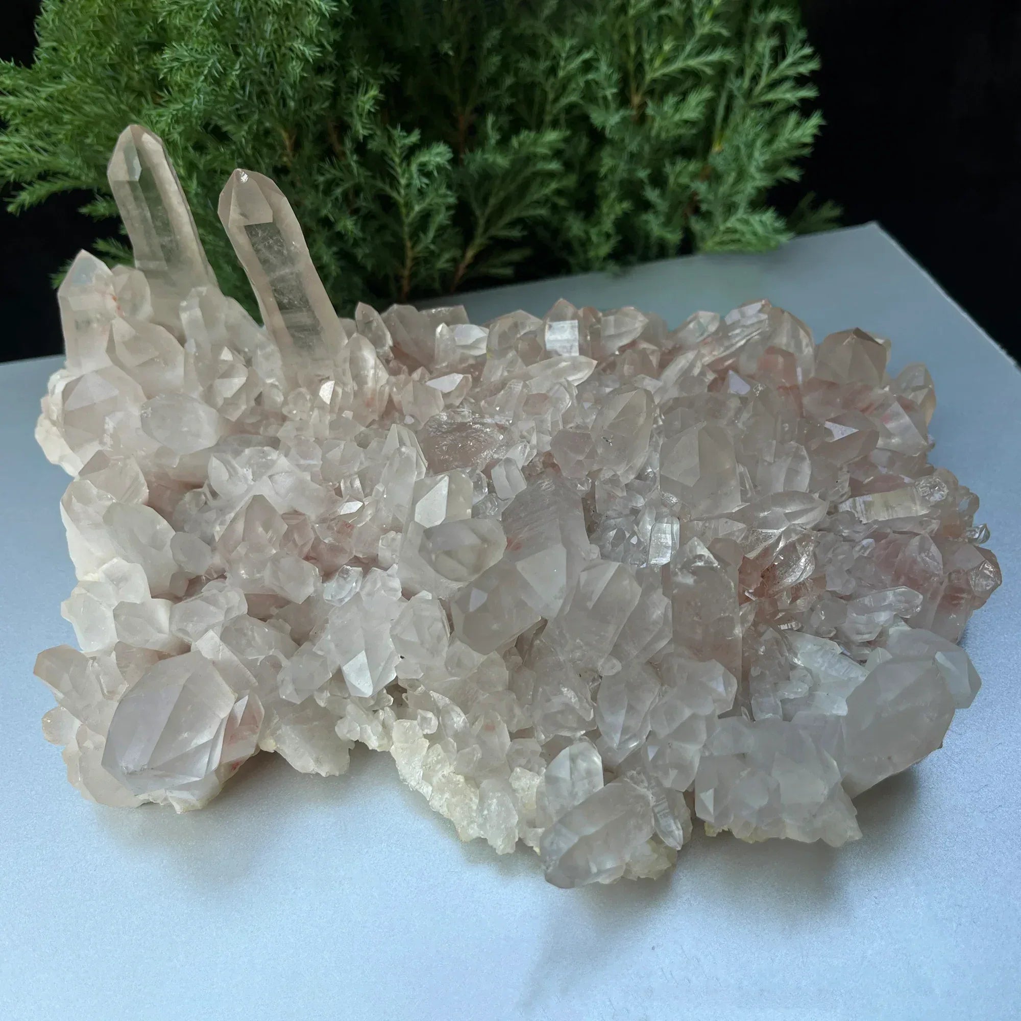 Natural Himalayan Pink Quartz Cluster 1575g Himalayan Quartz
