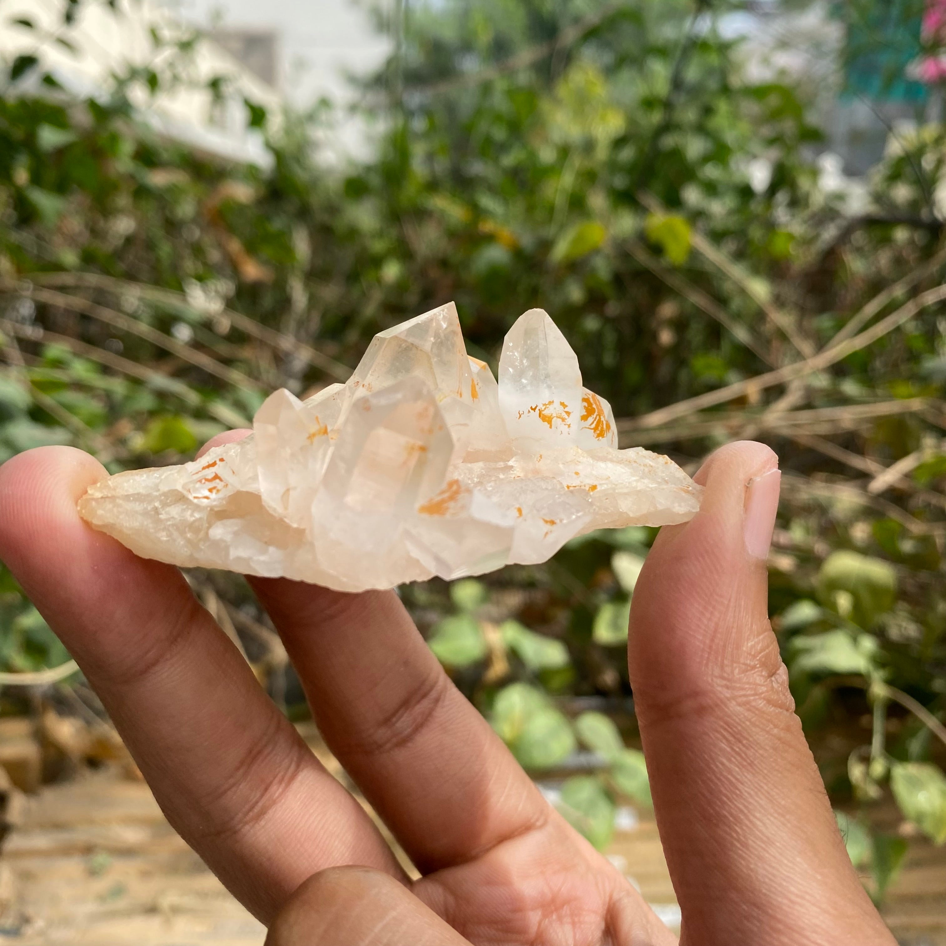 Pink Natural Himalayan Samadhi Quartz Cluster Raw Crystal Healing Energy Display