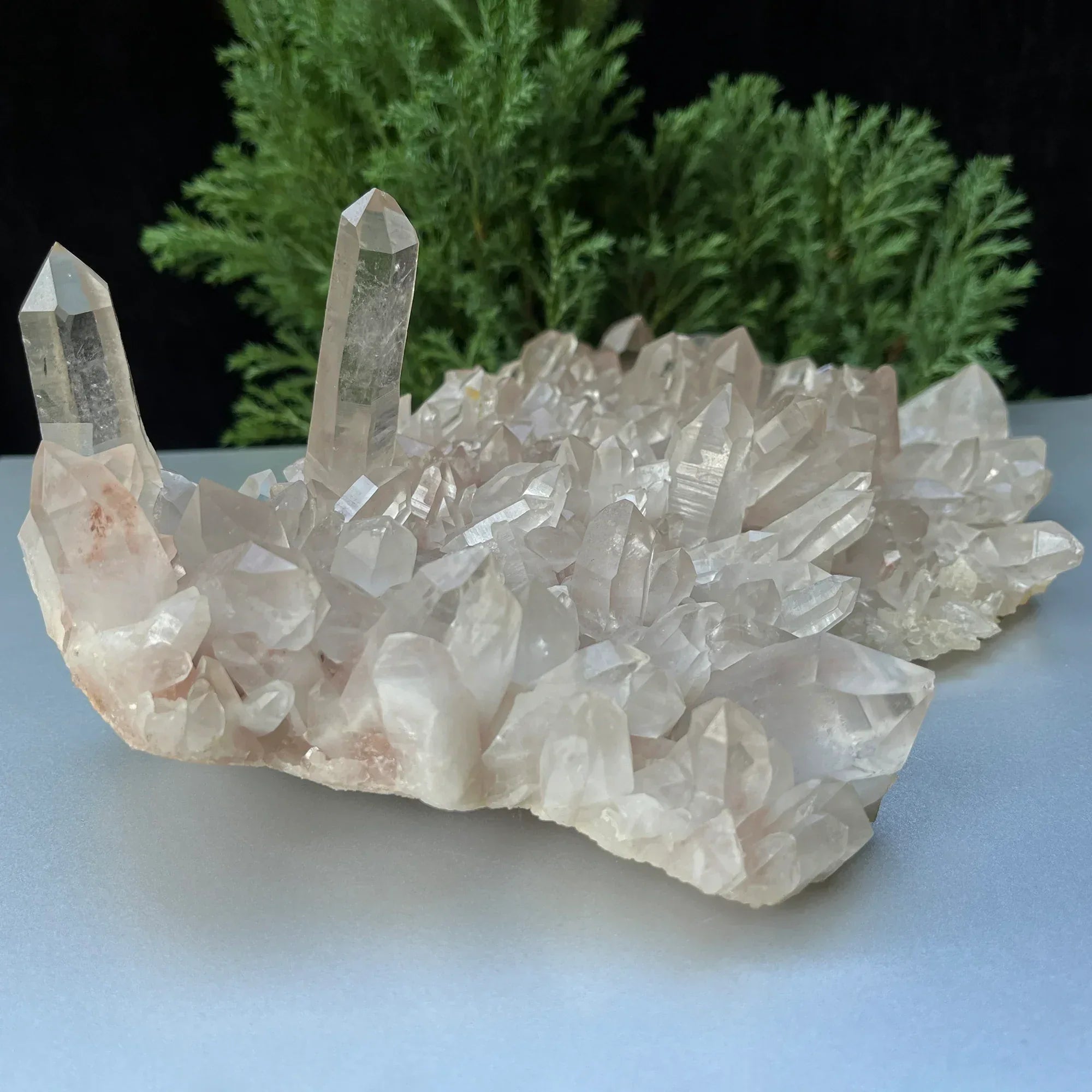 Natural Himalayan Pink Quartz Cluster 1575g Himalayan Quartz