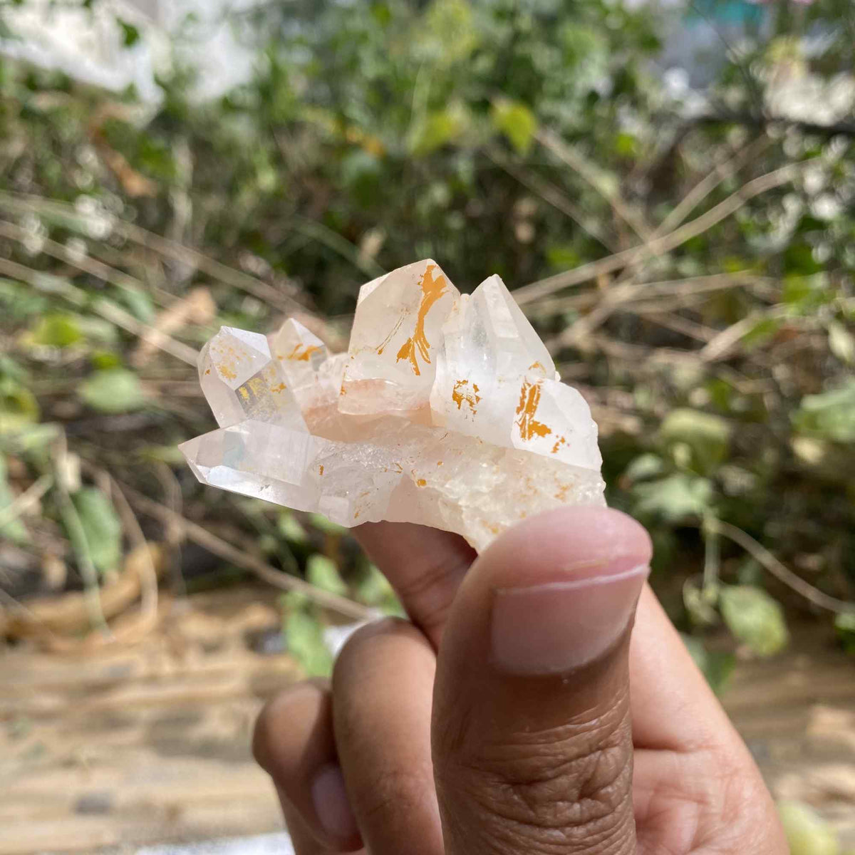 Pink Himalayan Quartz 60g Natural Cluster Mineral Display Specimen