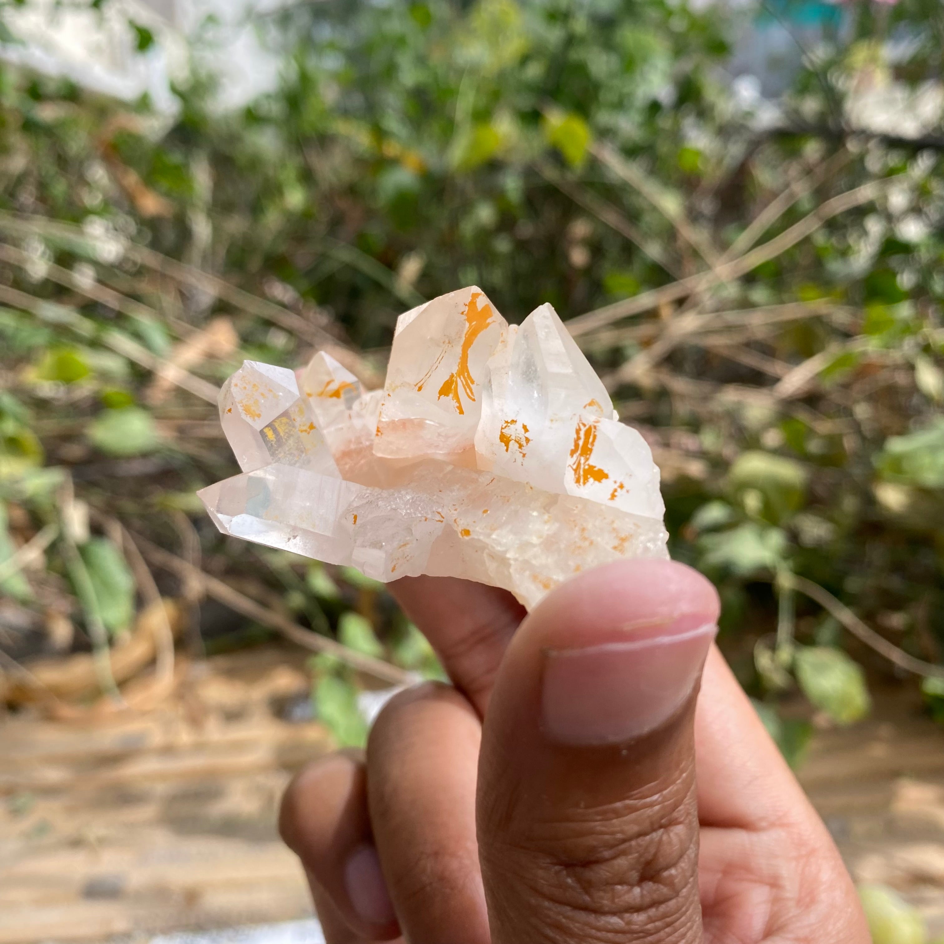 Pink Natural Himalayan Samadhi Quartz Cluster Raw Crystal Healing Energy Display