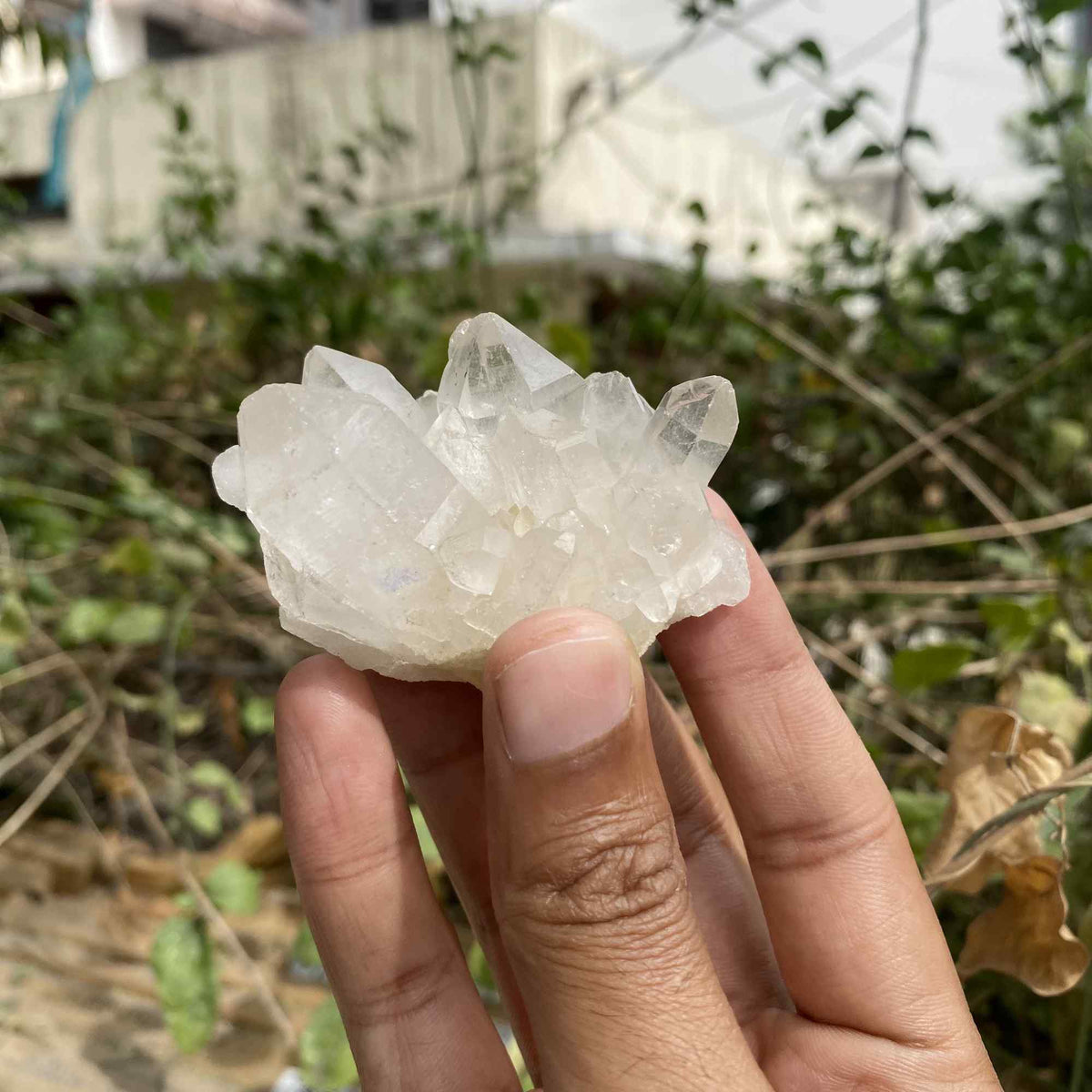 85g Himalayan White and Pink Quartz Natural Raw Cluster Collector Piece