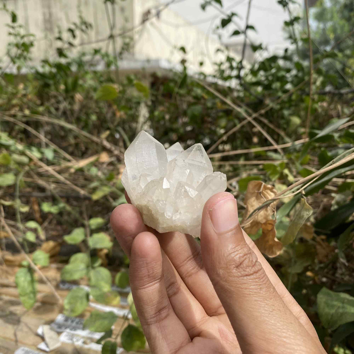 85g Himalayan White and Pink Quartz Natural Raw Cluster Collector Piece