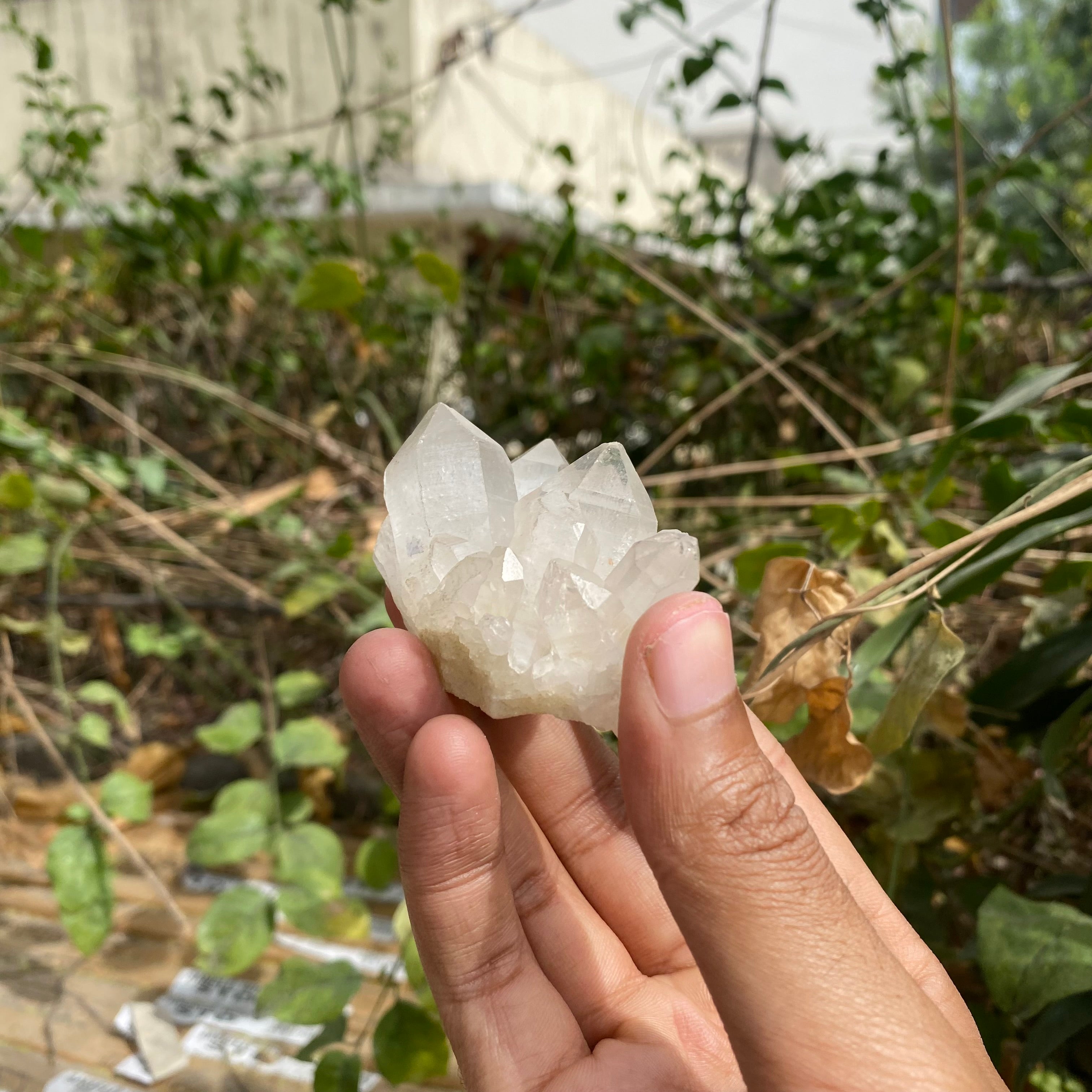 White and Pink Quartz Crystal Cluster 85g Natural Himalayan Raw Healing Stone Mineral Specimen Mini Décor