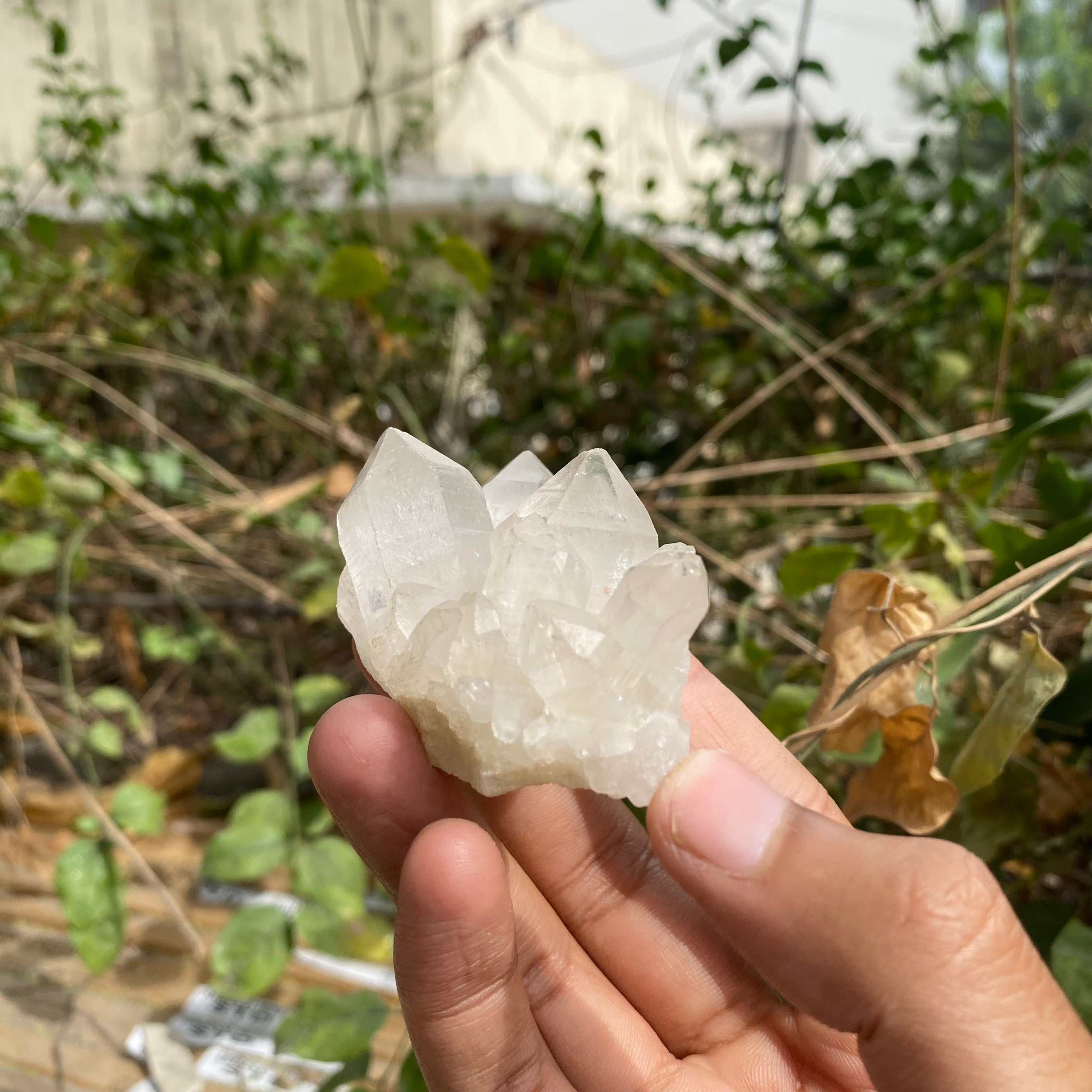 White and Pink Quartz Crystal Cluster 85g Natural Himalayan Raw Healing Stone Mineral Specimen Mini Décor