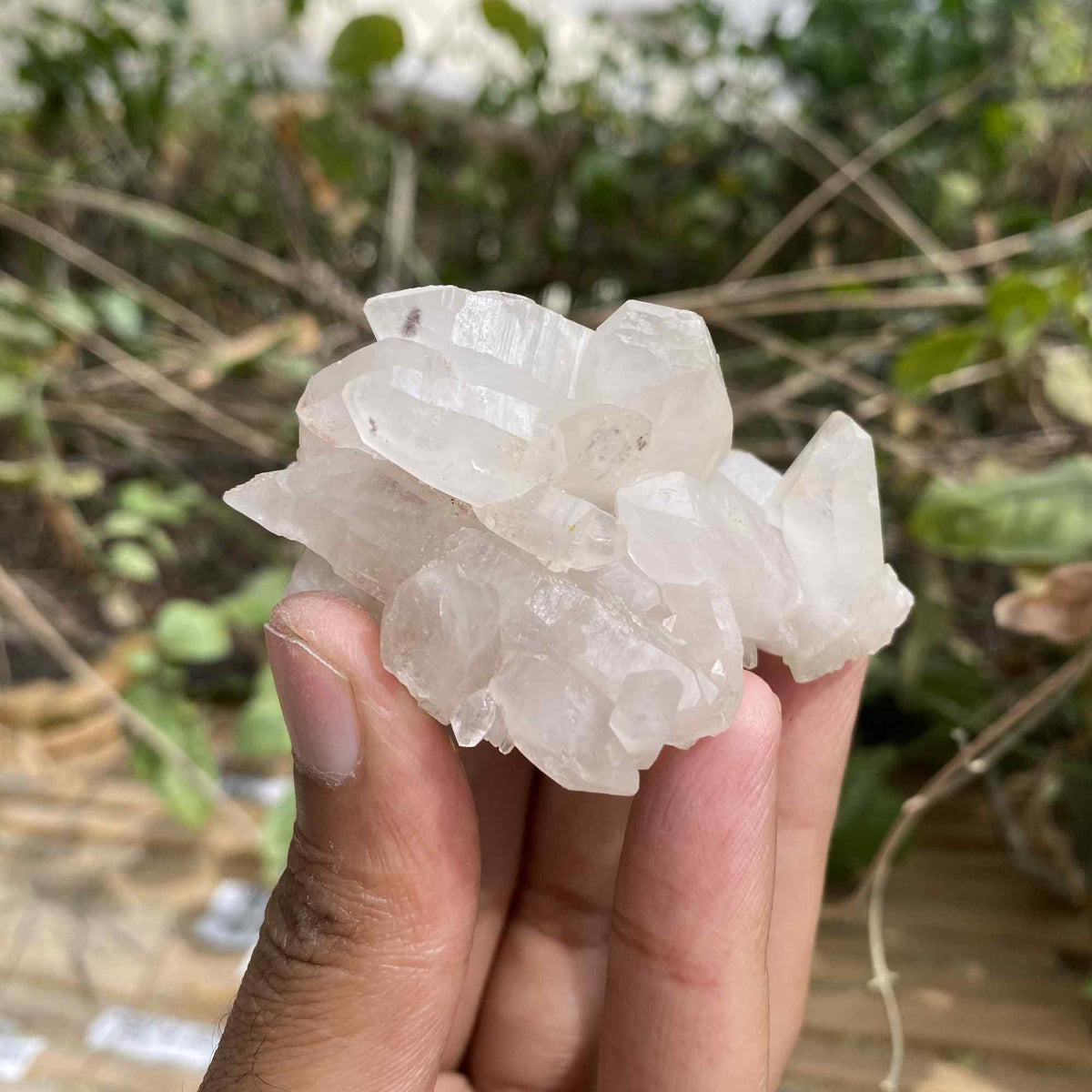 White Pink Himalayan Quartz 90g Raw Cluster Natural Mineral Display