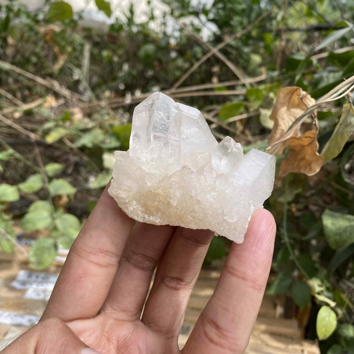 Pink Quartz 75g Himalayan Natural Cluster Mineral Display Specimen