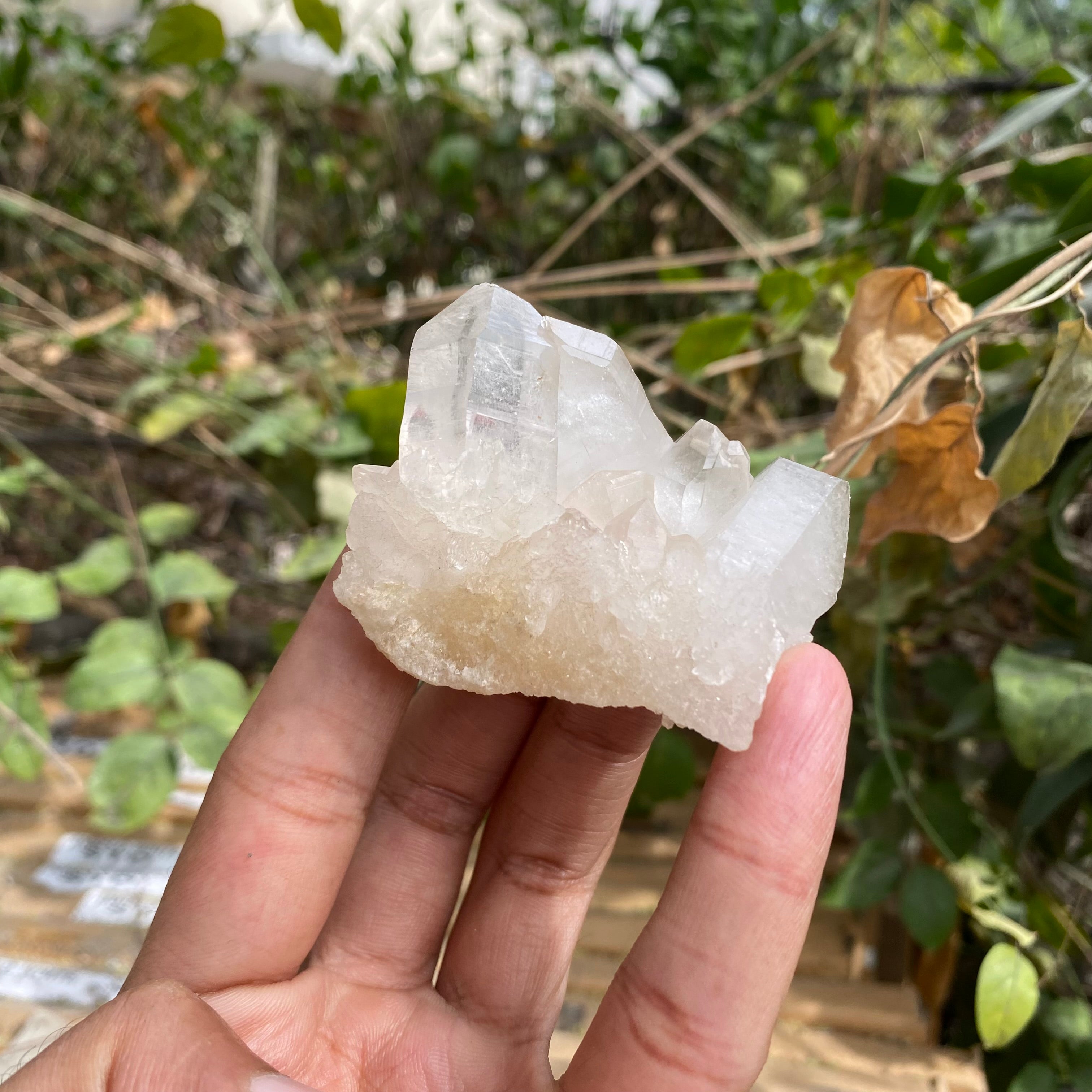 Pink Himalayan Samadhi Quartz Crystal Cluster Raw Healing Collector Display Stone