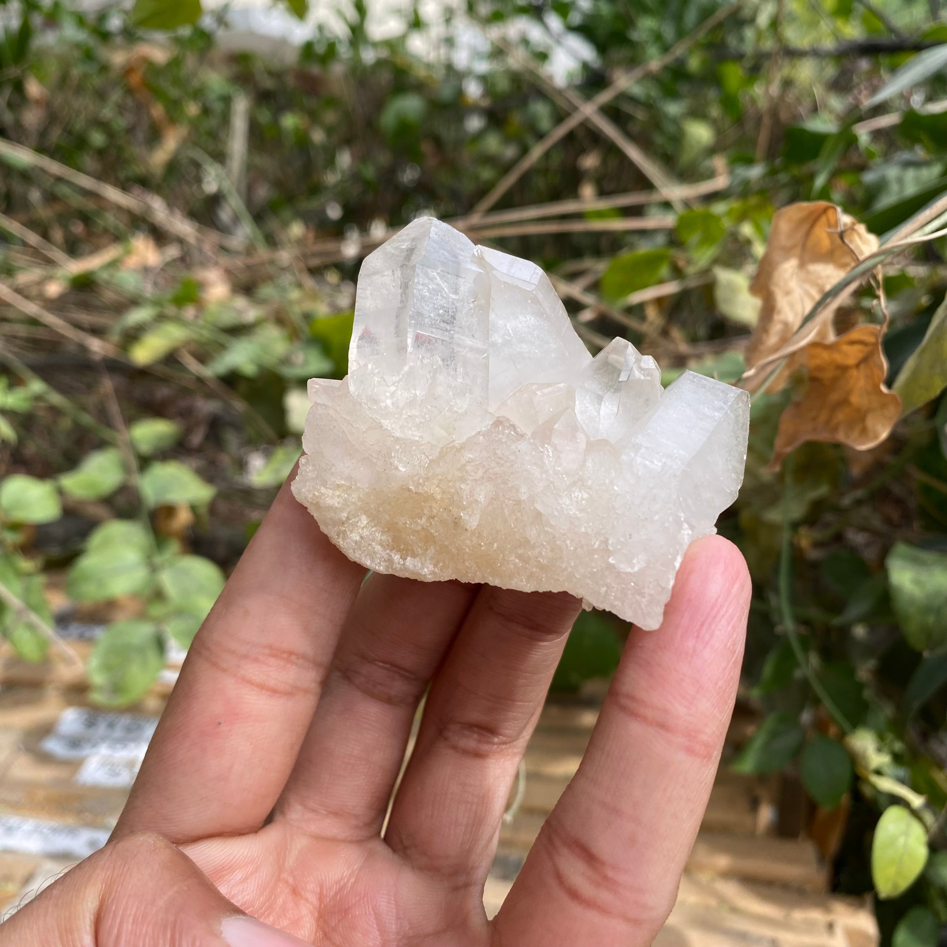 Pink Himalayan Samadhi Quartz Crystal Cluster Raw Healing Collector Display Stone