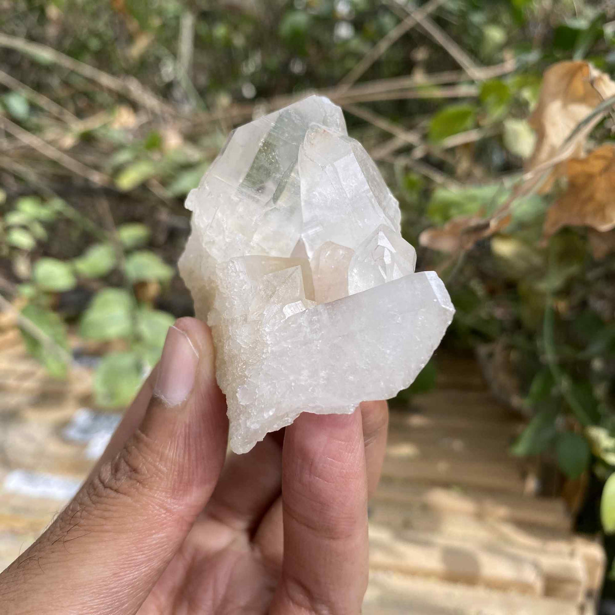 Pink Quartz 75g Himalayan Natural Cluster Mineral Display Specimen