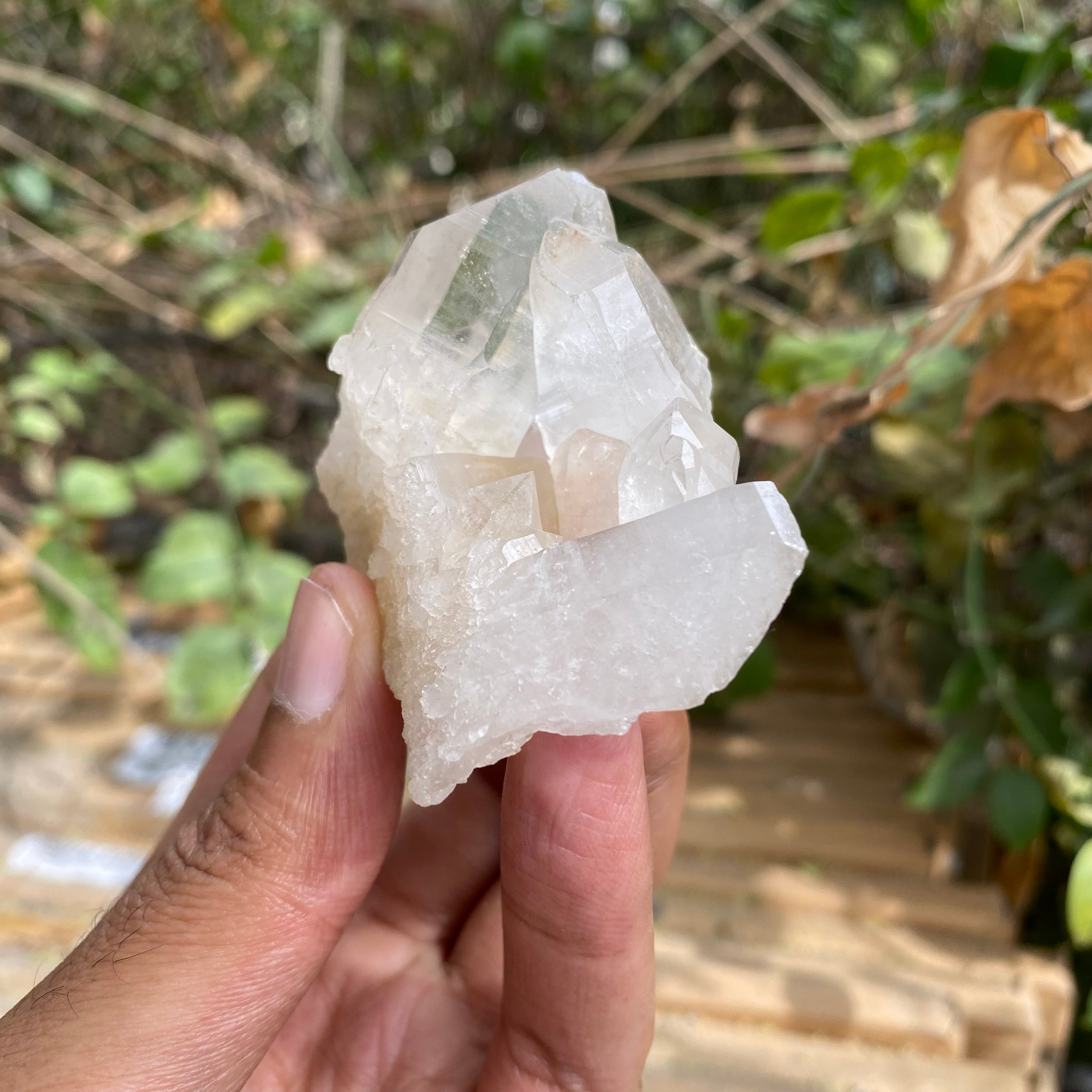 Pink Himalayan Samadhi Quartz Crystal Cluster Raw Healing Collector Display Stone
