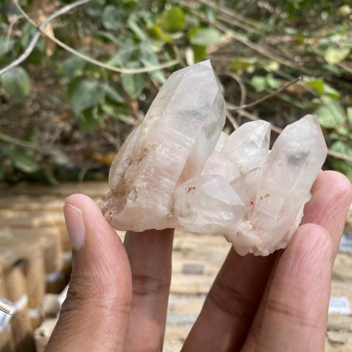 Natural 100g Himalayan White and Pink Quartz Cluster Collector Mineral