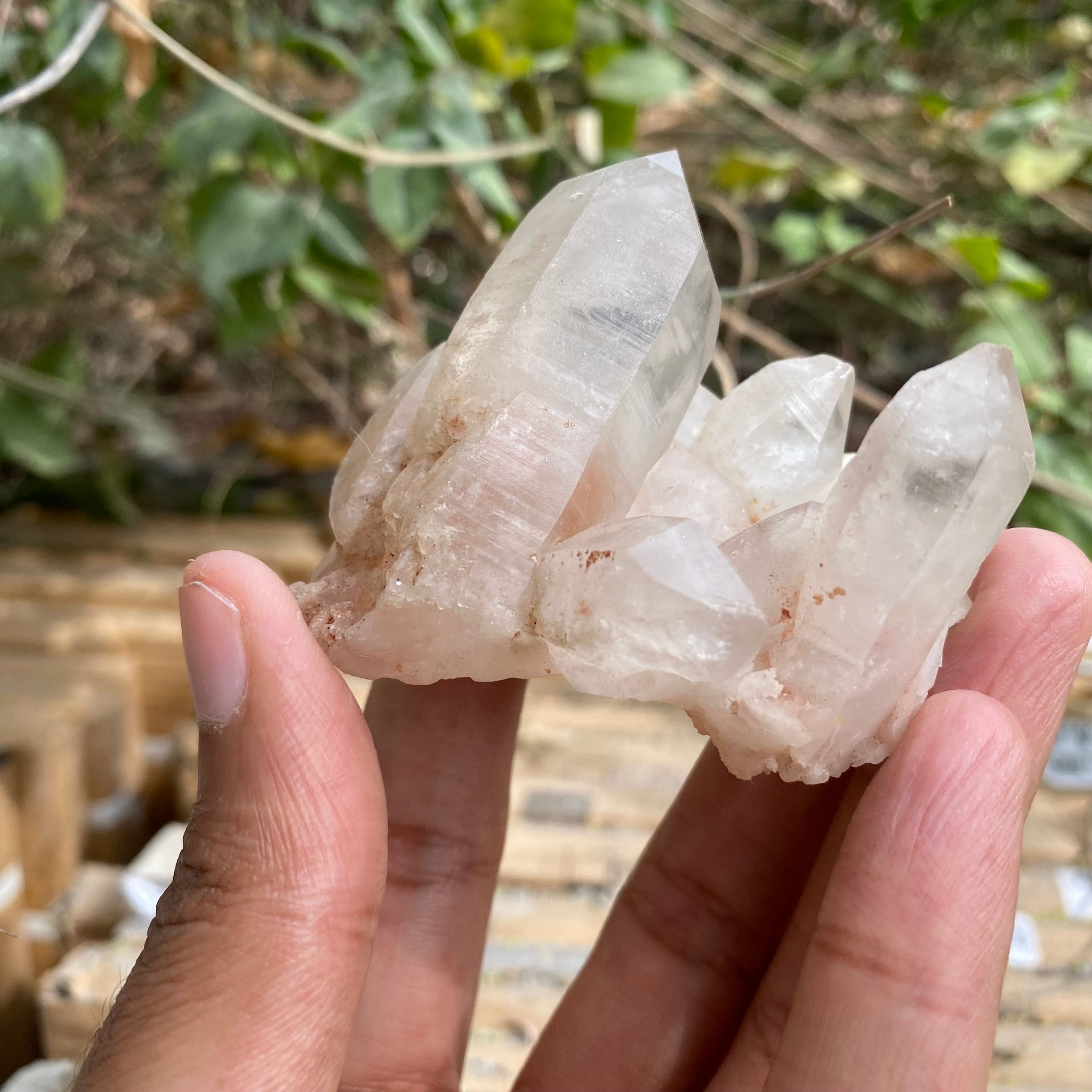 White and Pink Quartz Crystal Cluster 100g Natural Himalayan Raw Healing Stone Mineral Specimen Décor