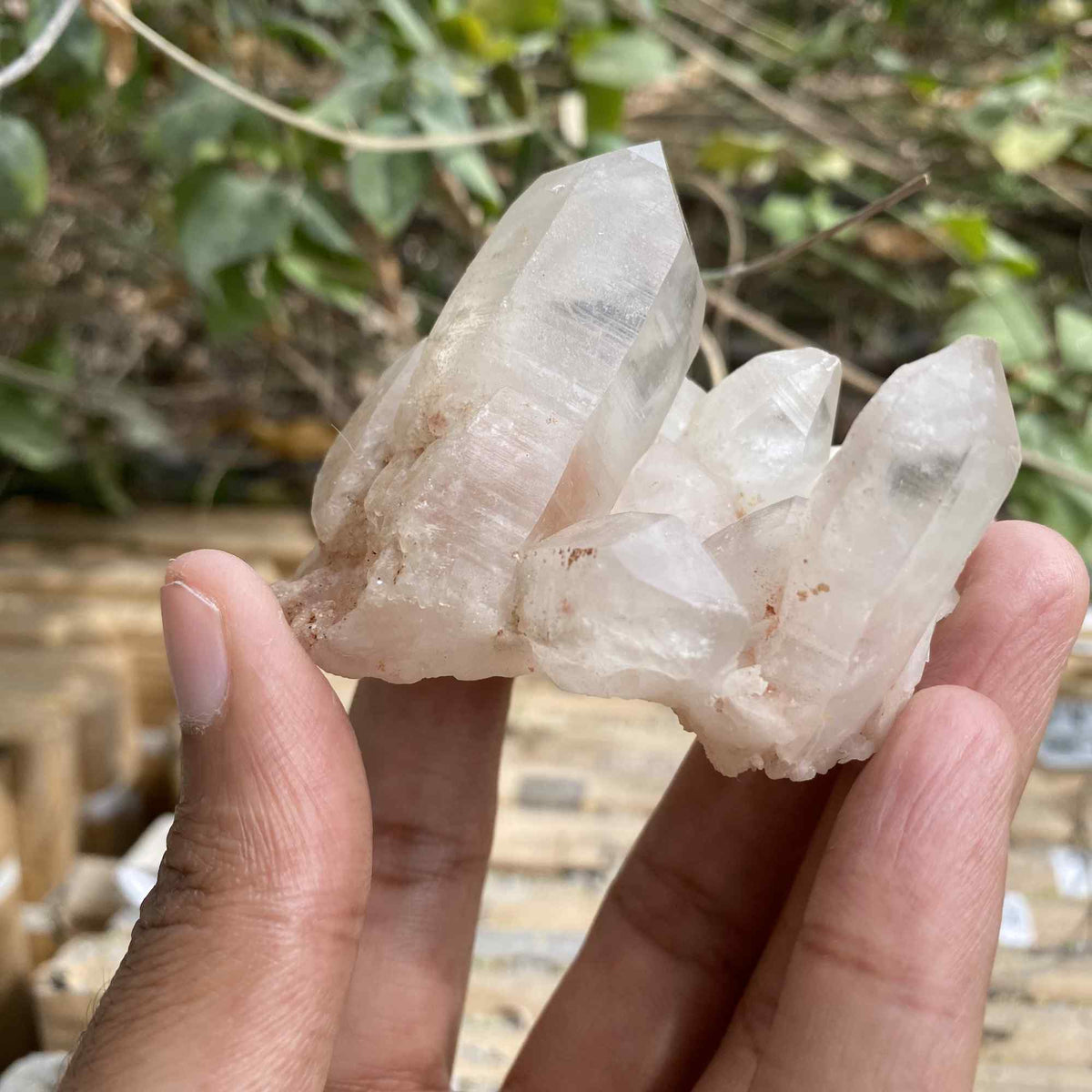 Natural 100g Himalayan White and Pink Quartz Cluster Collector Mineral