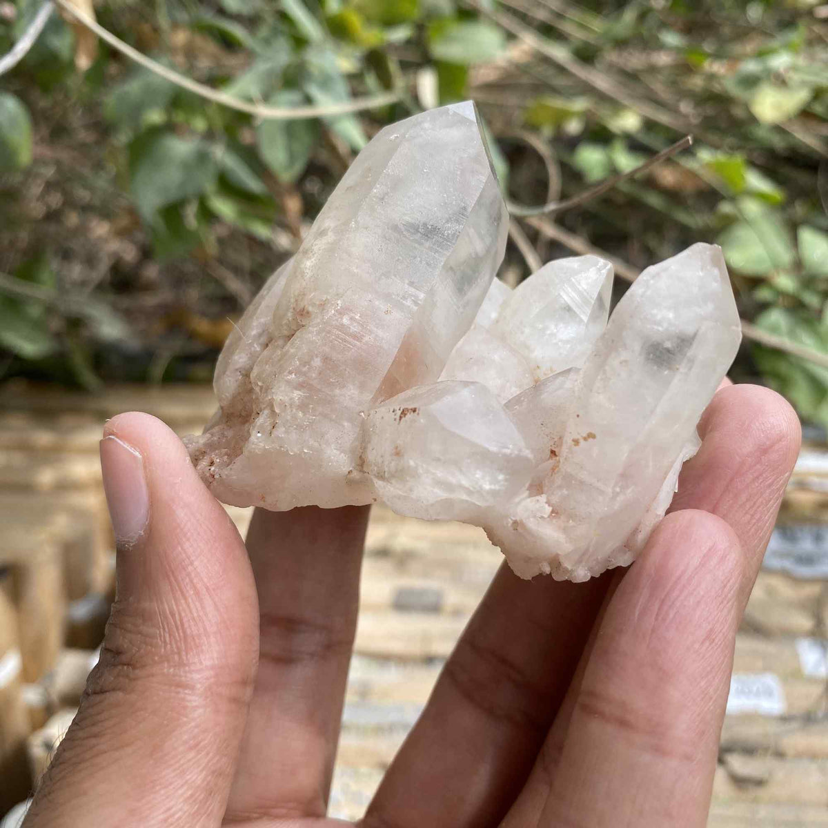 White and Pink Quartz Crystal Cluster 100g Natural Himalayan Raw Healing Stone Mineral Specimen Décor