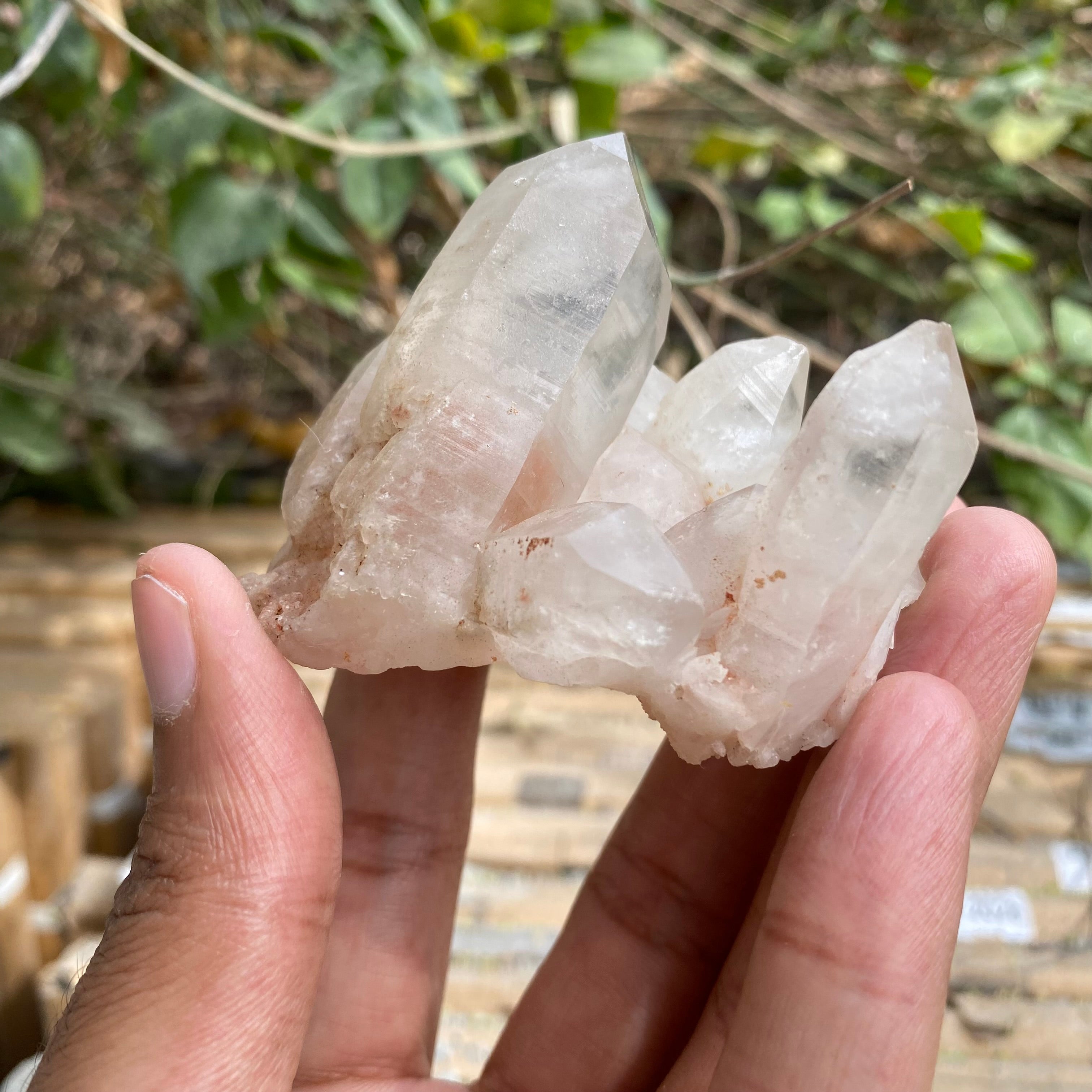 White and Pink Quartz Crystal Cluster 100g Natural Himalayan Raw Healing Stone Mineral Specimen Décor