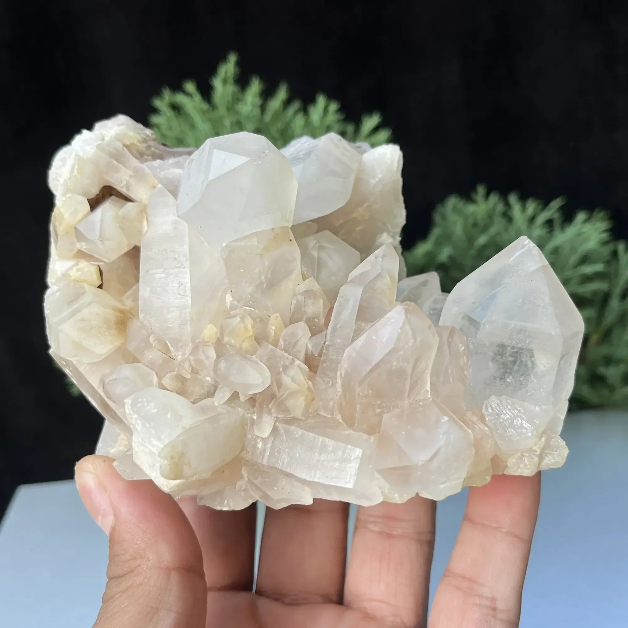 Natural Himalayan White + Pink Quartz Cluster 675g Himalayan Quartz