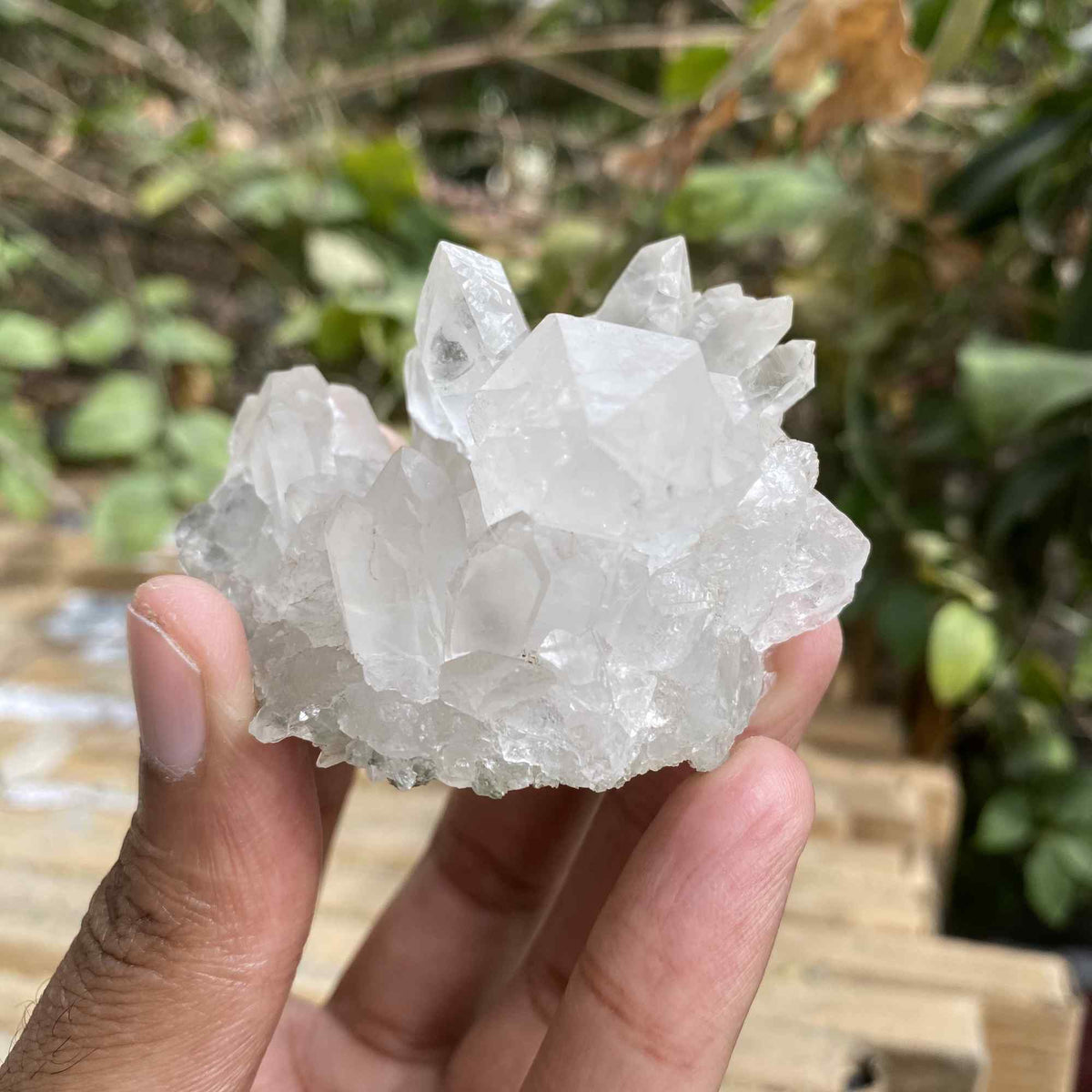 100g White Quartz Natural Himalayan Raw Cluster Display Specimen