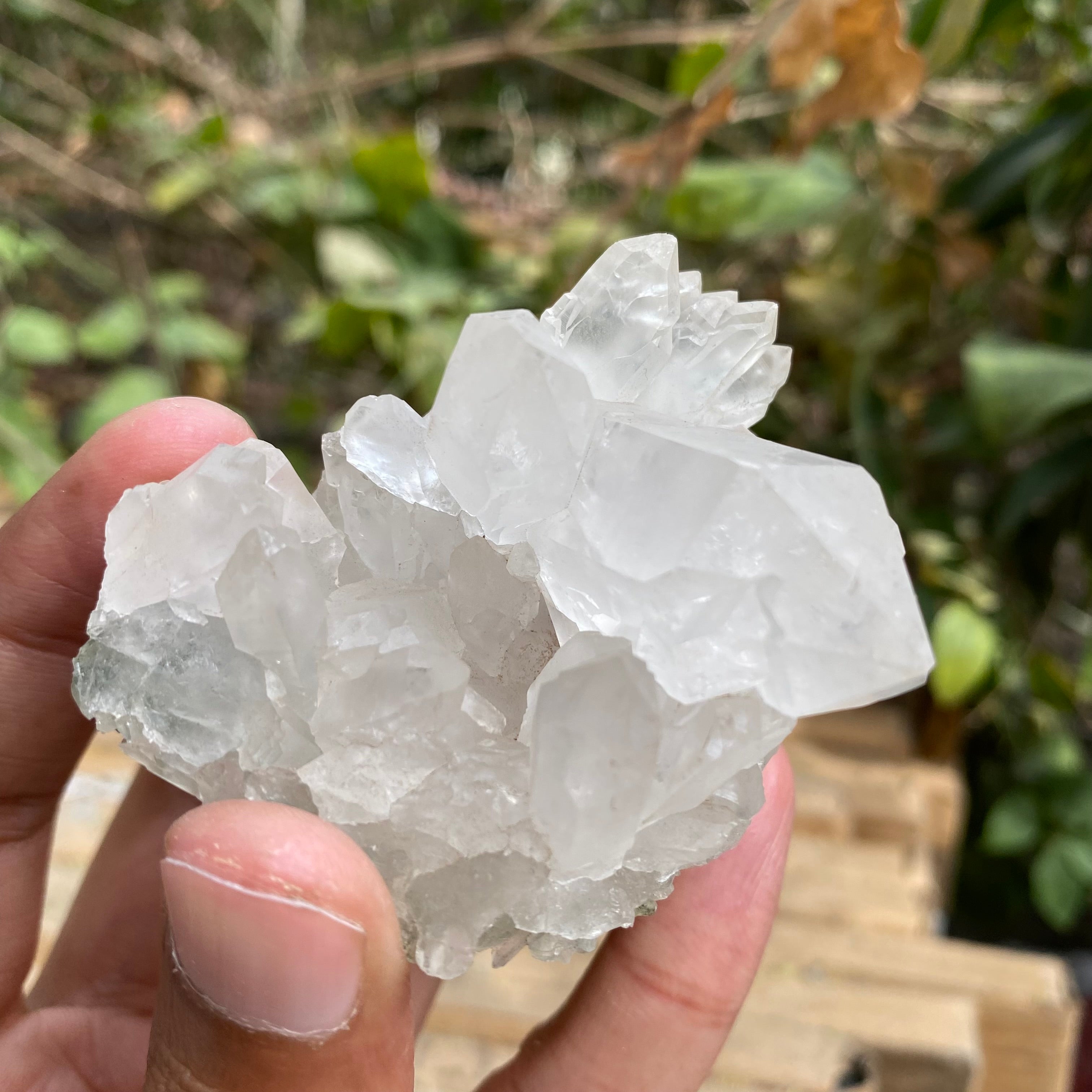 White Premium Samadhi Quartz Crystal Cluster Himalayan Natural Collector Piece