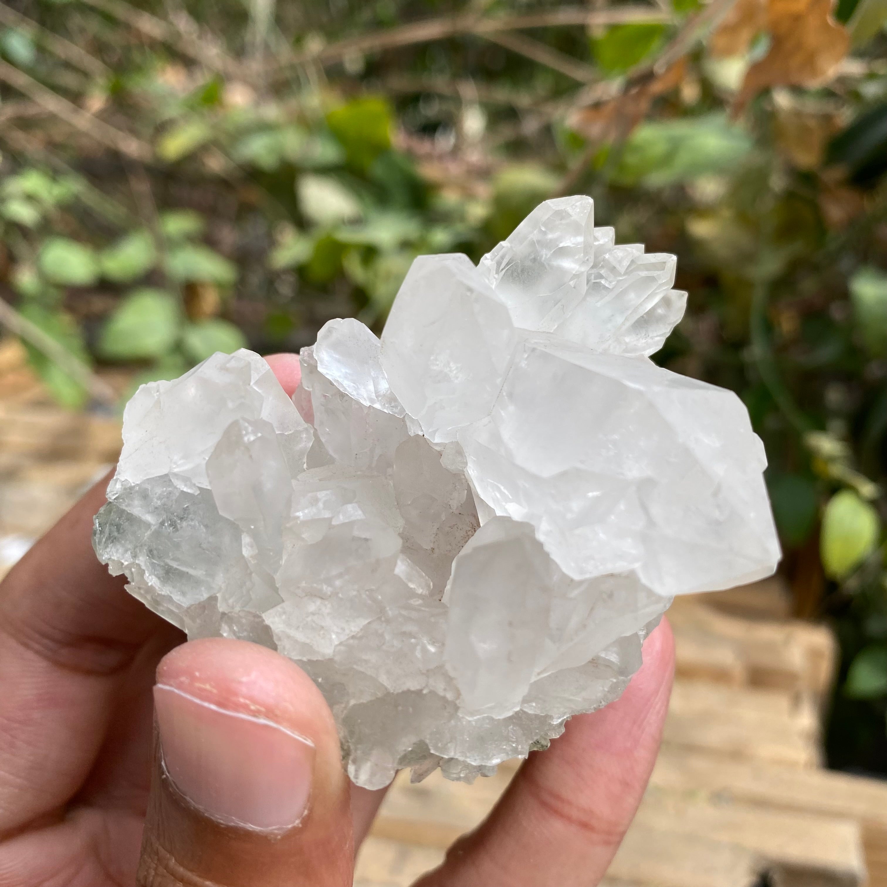 White Premium Samadhi Quartz Crystal Cluster Himalayan Natural Collector Piece