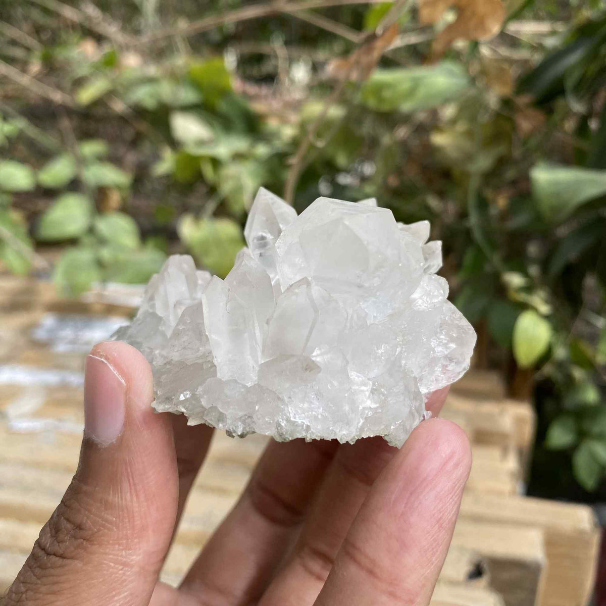 100g White Quartz Natural Himalayan Raw Cluster Display Specimen
