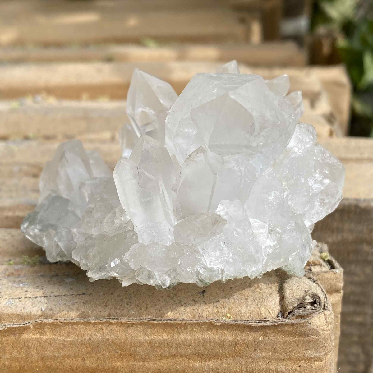 100g White Quartz Natural Himalayan Raw Cluster Display Specimen