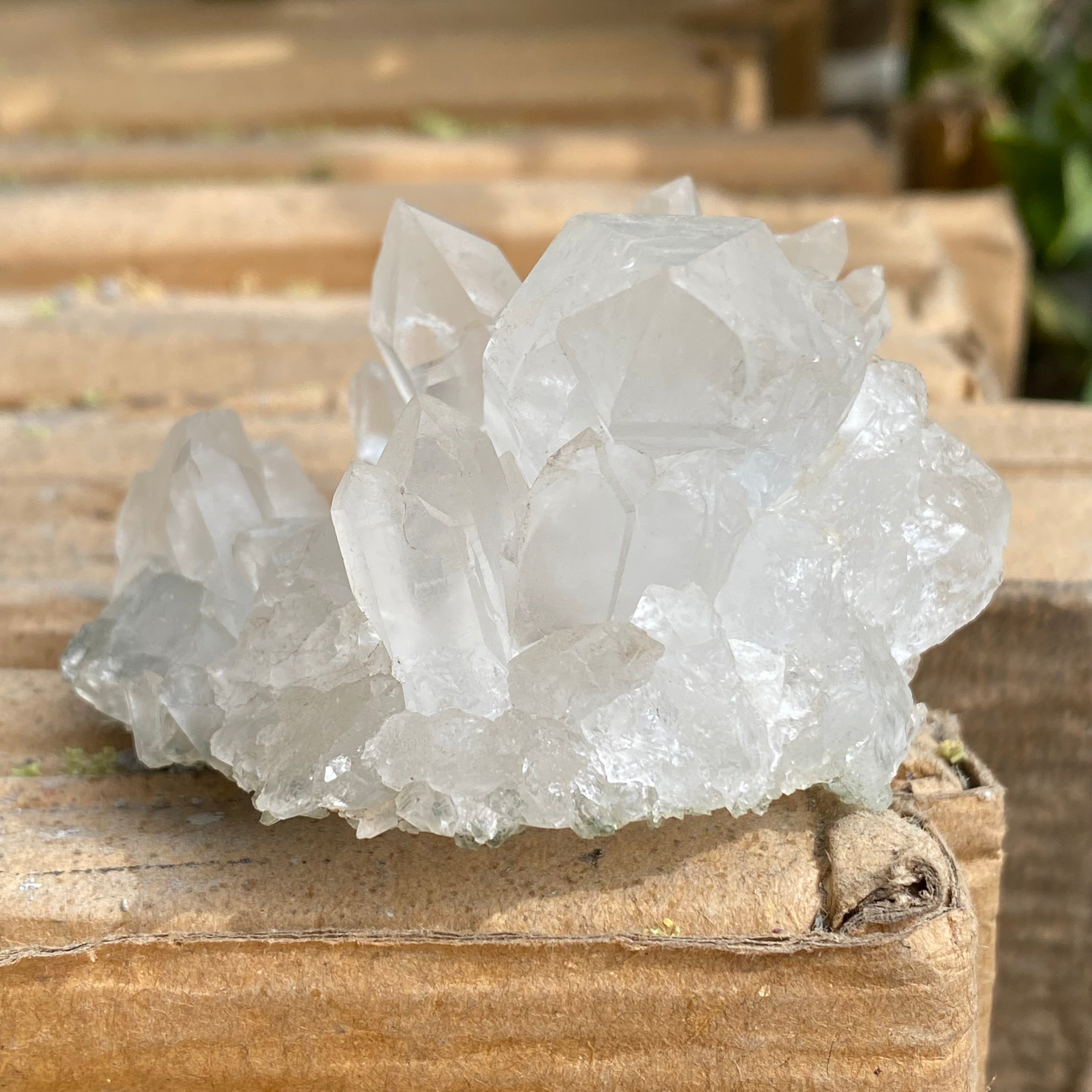 White Premium Samadhi Quartz Crystal Cluster Himalayan Natural Collector Piece