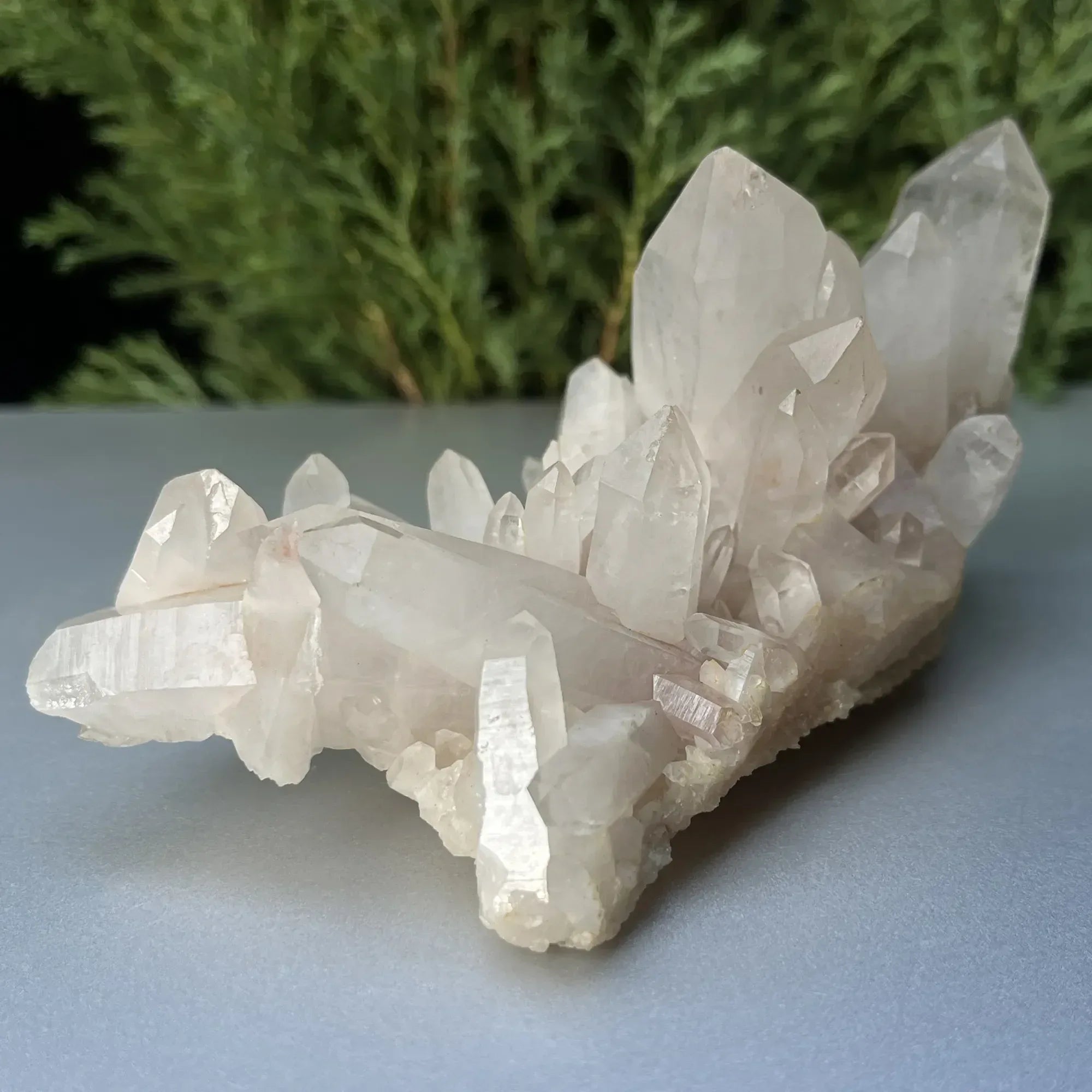 Himalya Quartz Himalayan Quartz crystal cluster with white and clear raw healing stone, natural mineral specimen for collection and healing.