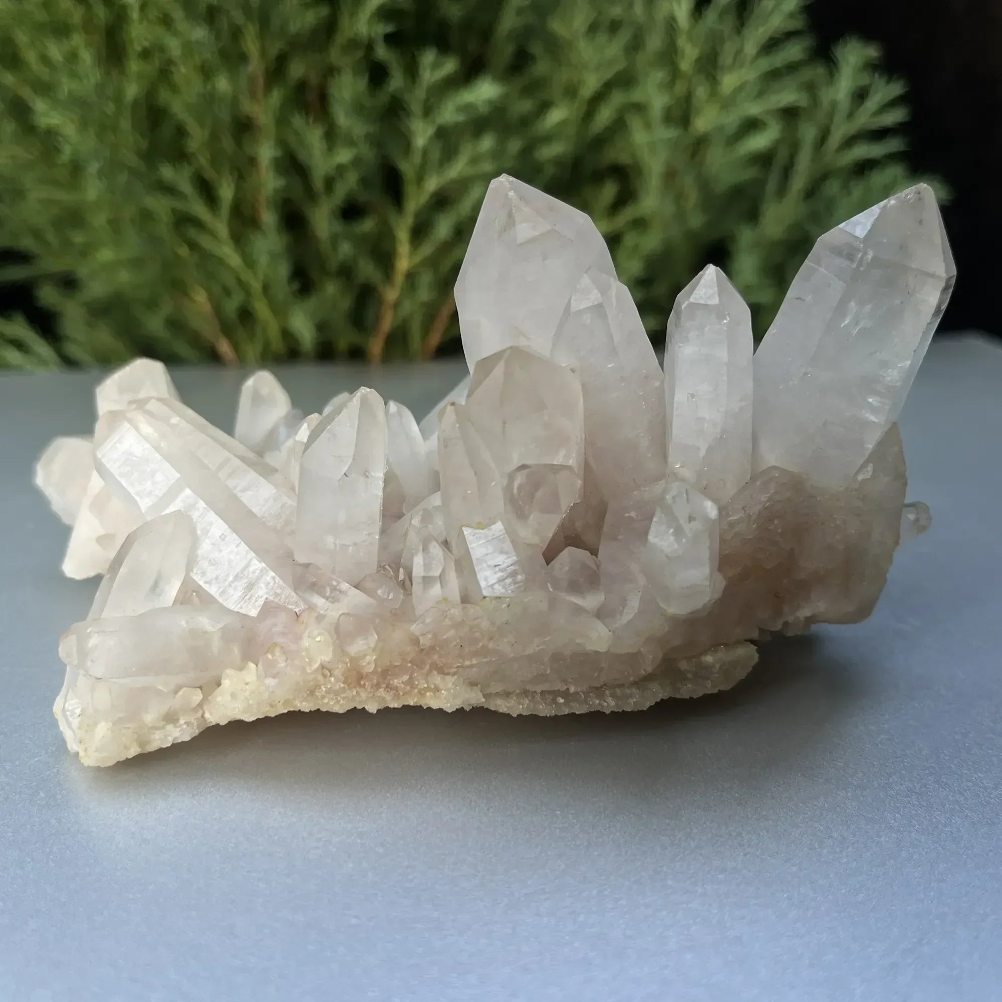 Authentic Himalayan Quartz crystal cluster with white quartz points, raw healing mineral from Himalya Quartz for collectors and healing.