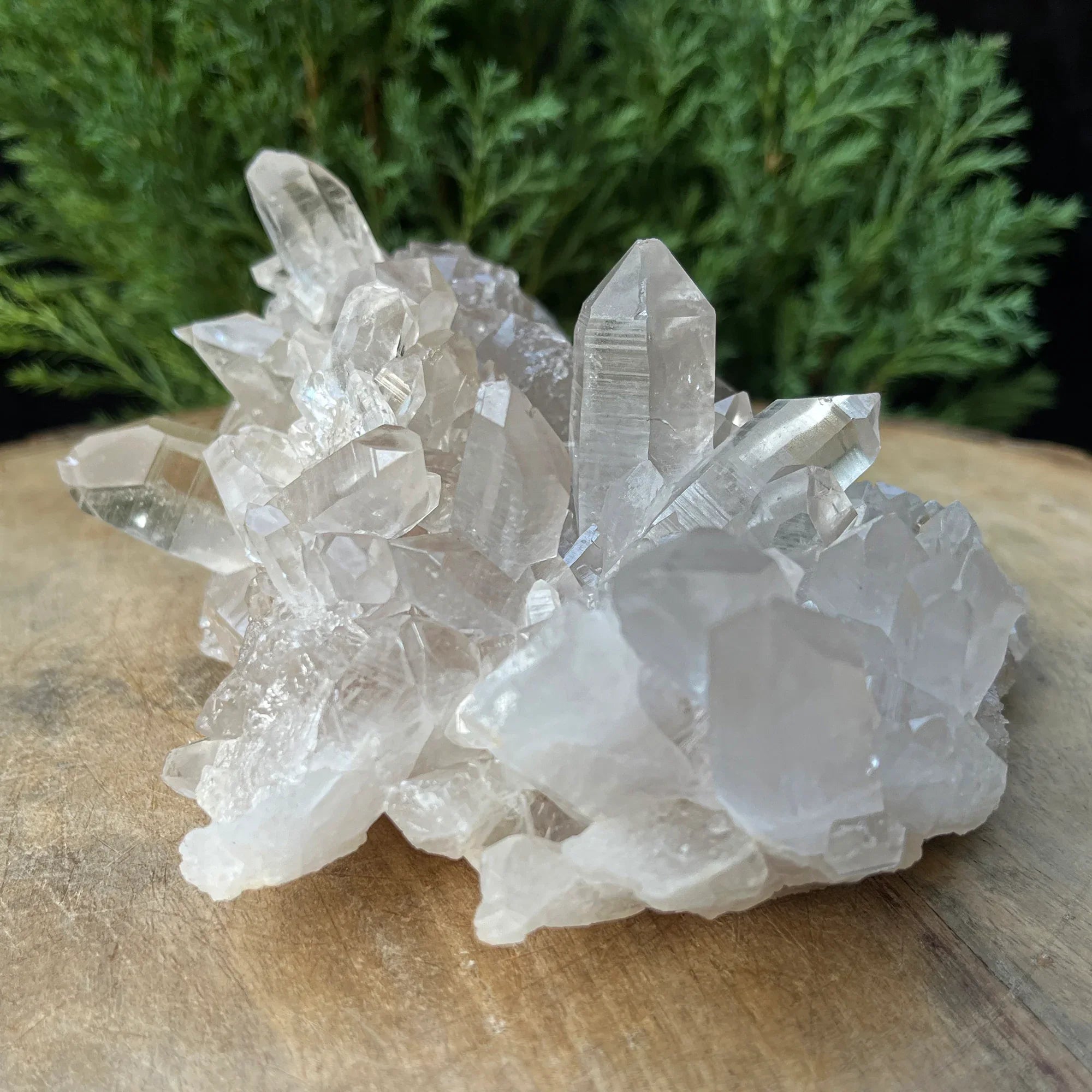 Natural Himalayan White & Smoky Quartz Cluster 735g – WHQ-118 - Himalya Quartz