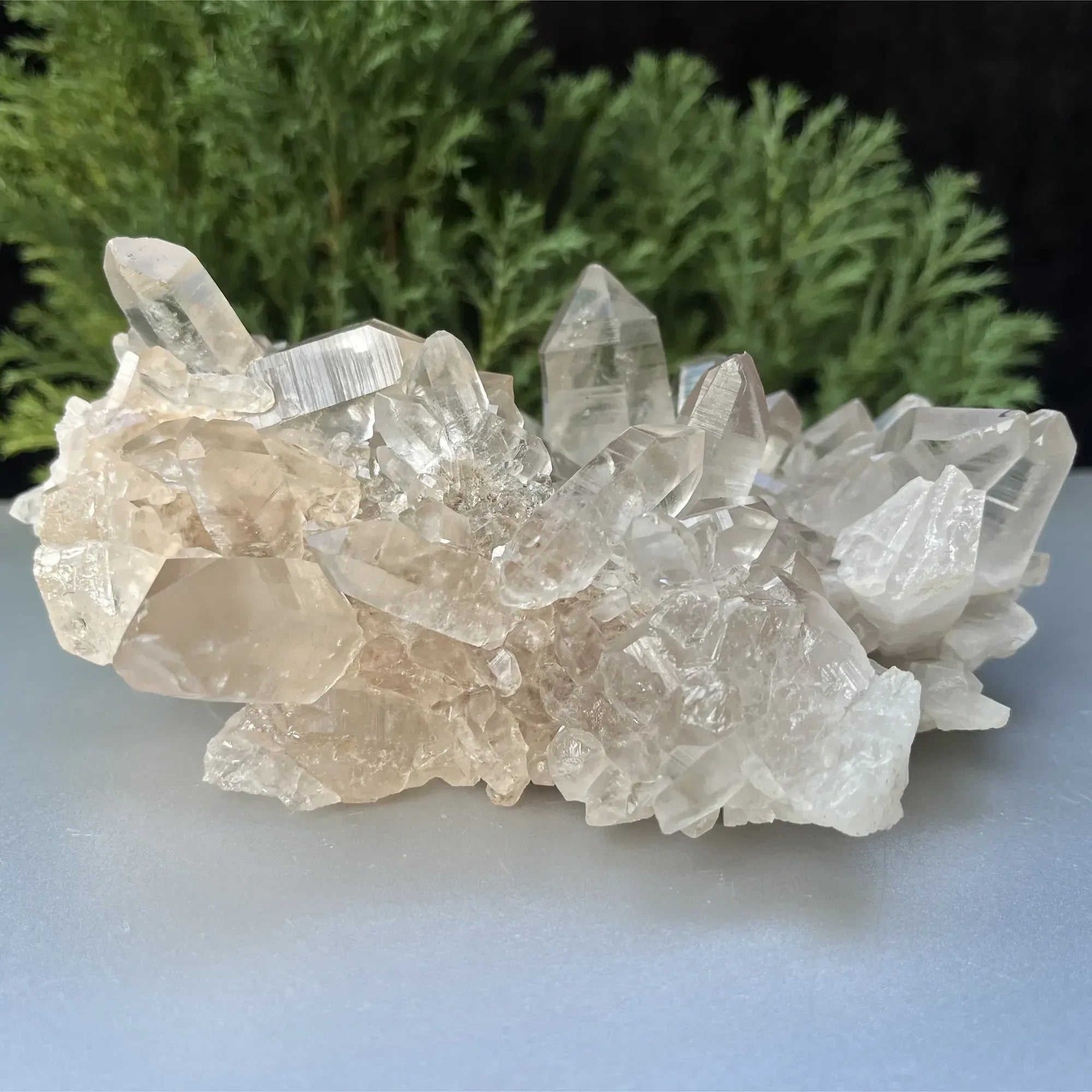 Natural Himalayan White & Smoky Quartz Cluster 735g Himalayan Quartz
